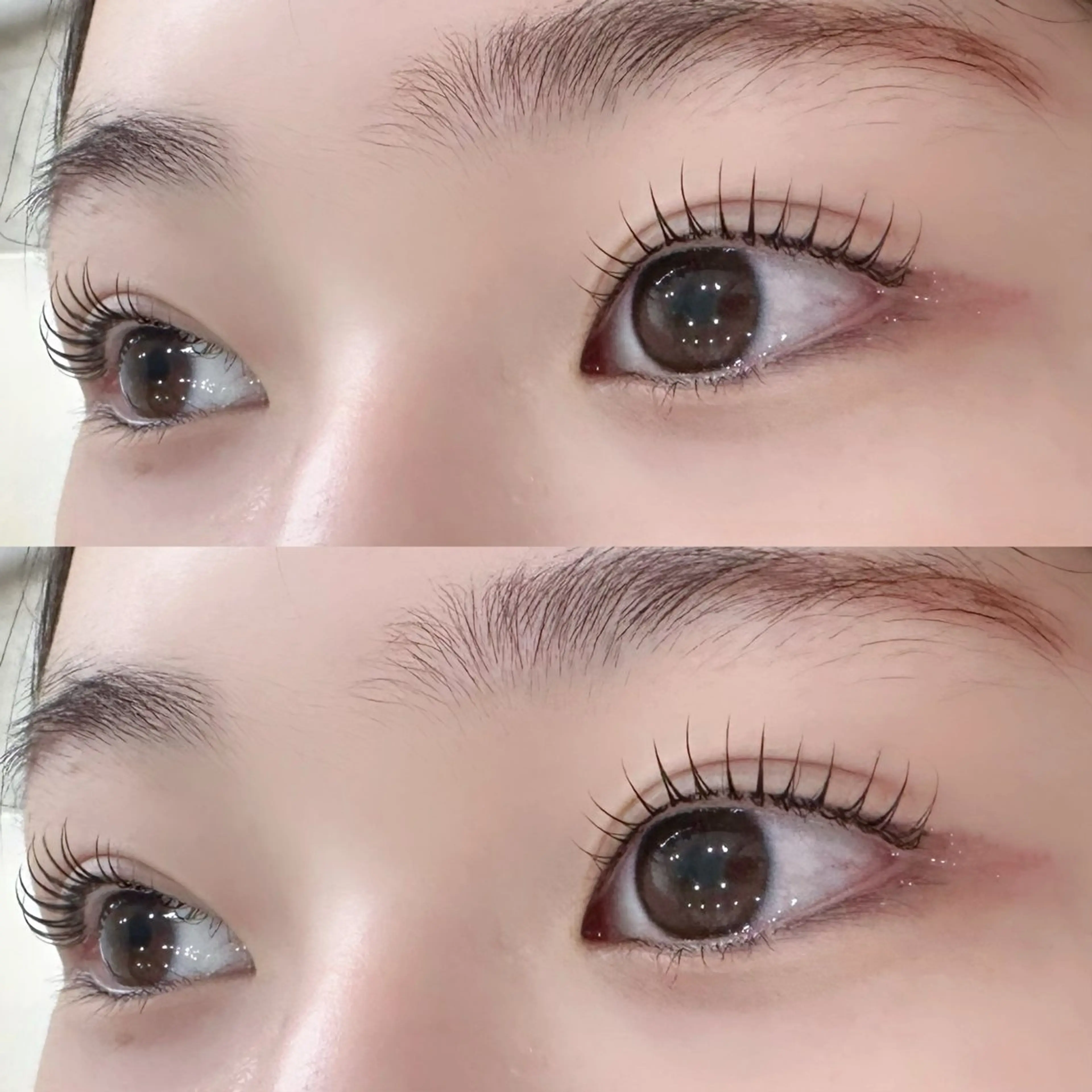 マツエク・マツパ マリーテレジア 🍬KOJIMAのマツエク・マツパデザイン