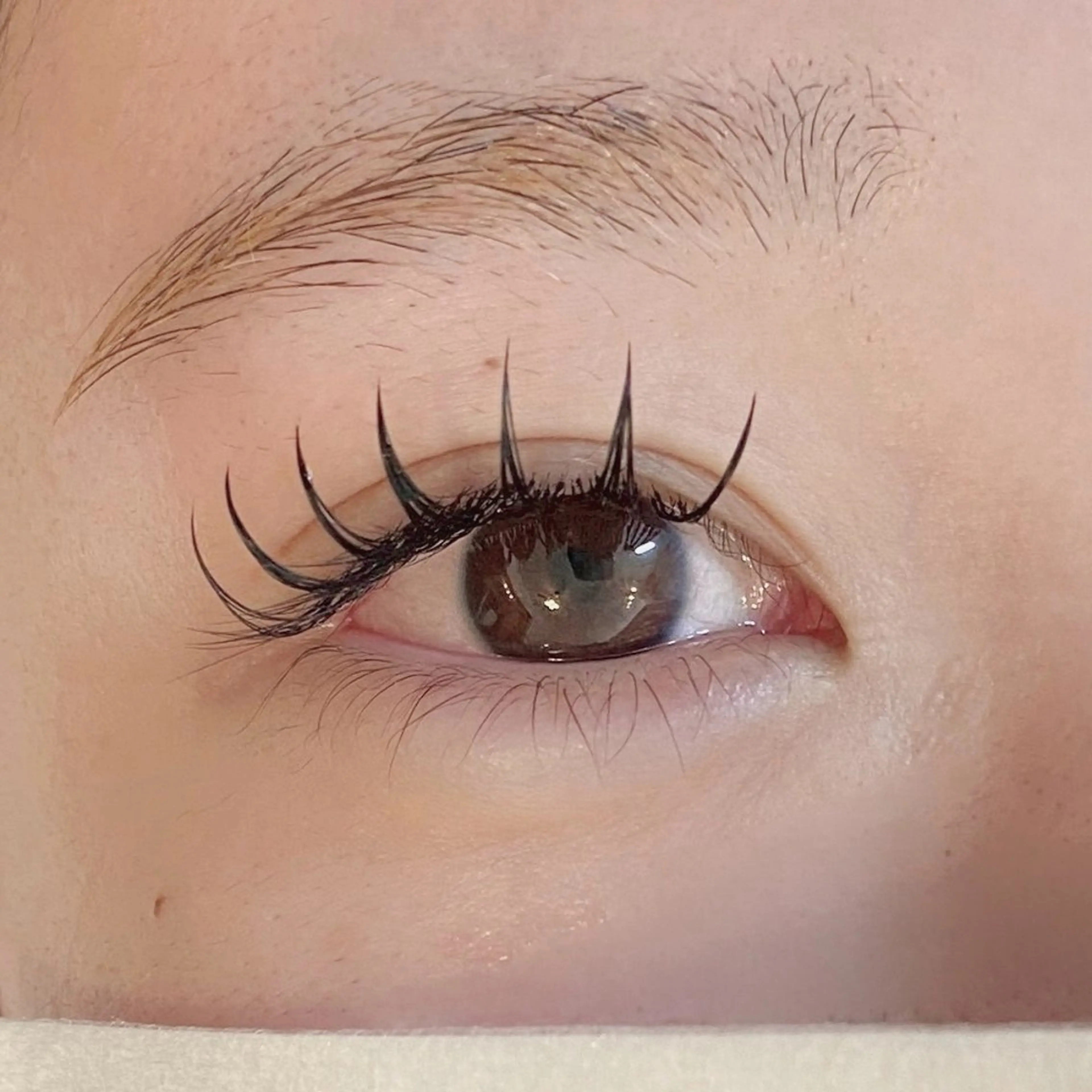 バインドロック100束の写真