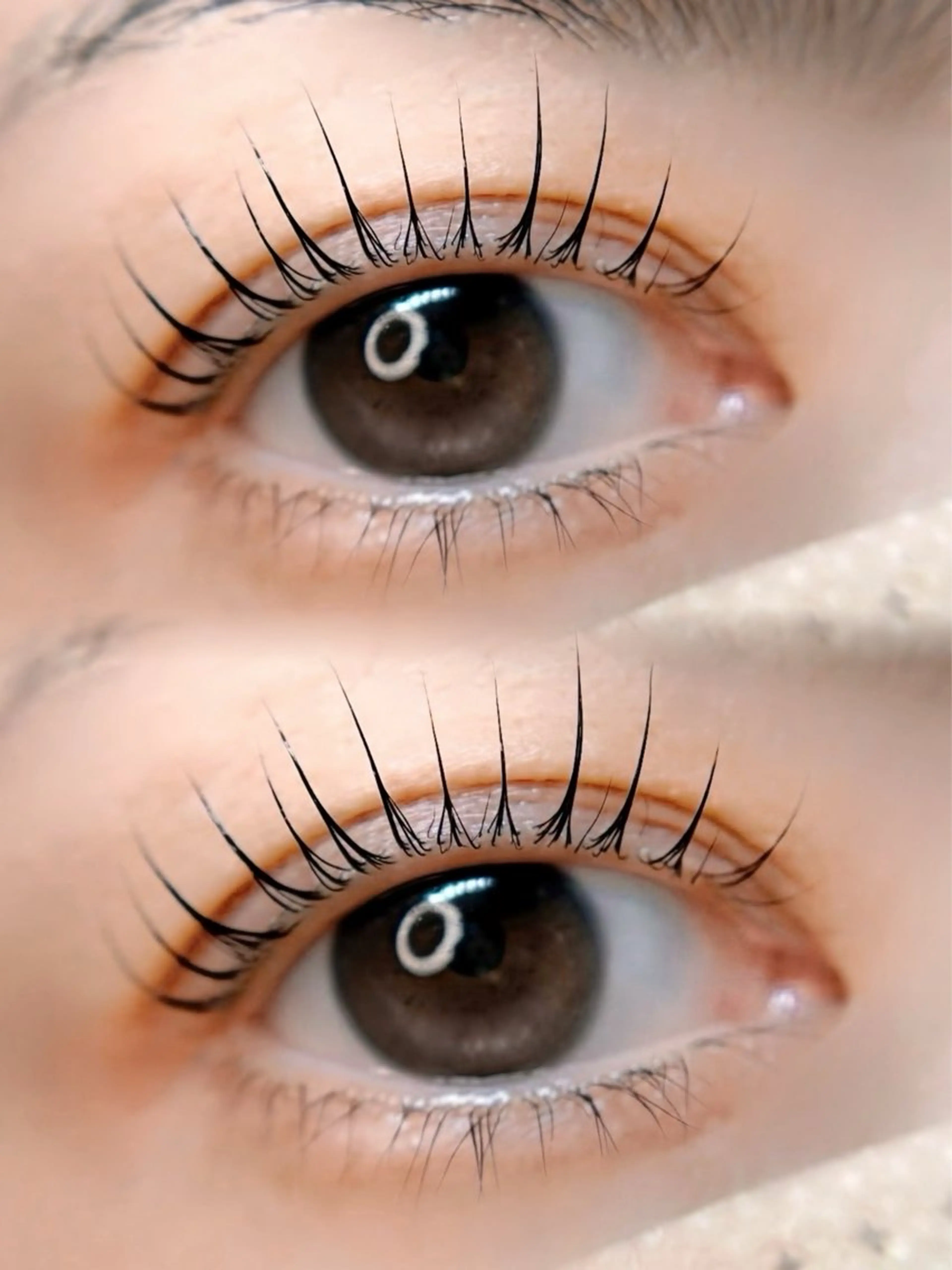 8月末迄🕊️✨BK付似合わせまつ毛パーマ（パリジェンヌ含）の写真