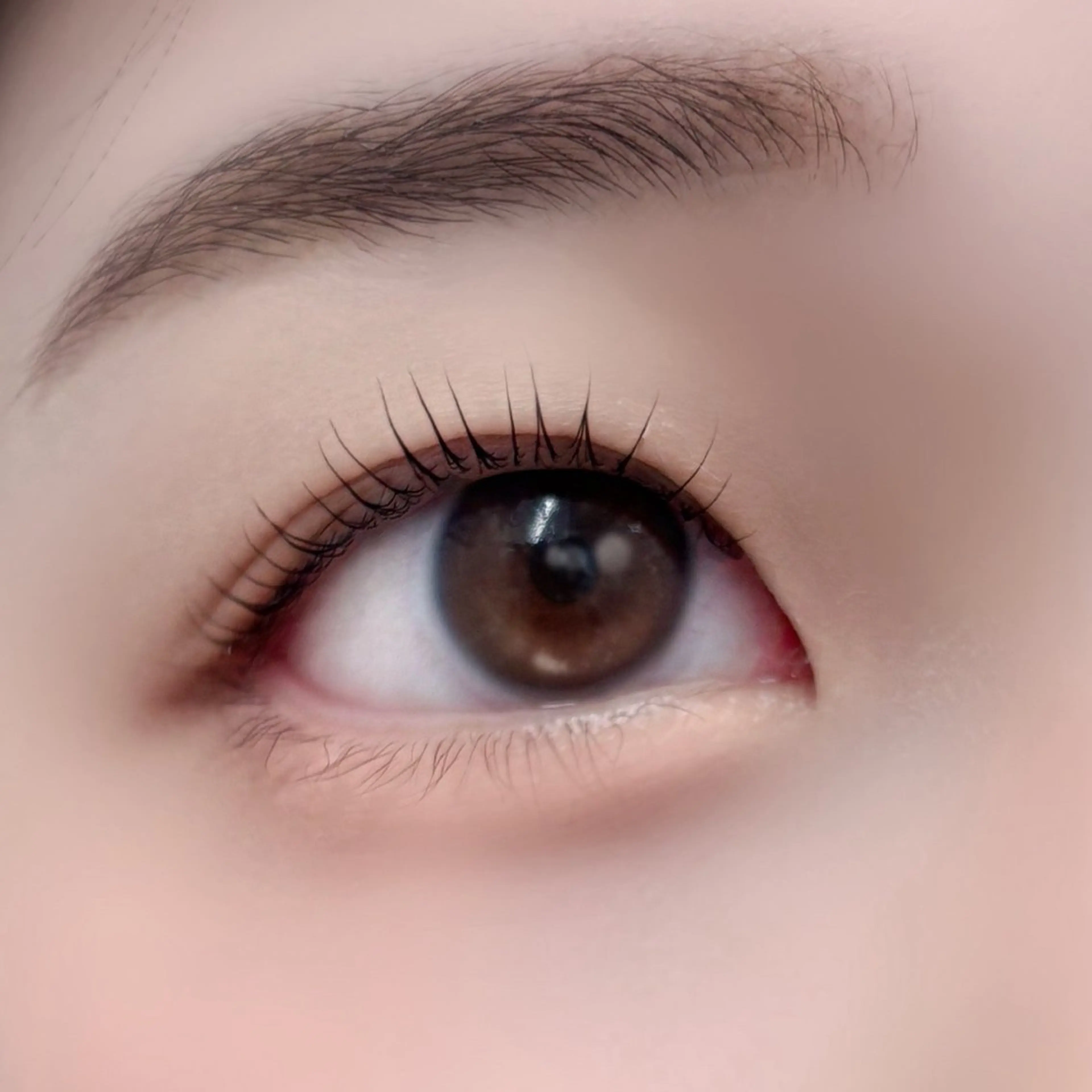 マツエク・マツパ kirin💎マツ エクモデル募集中🌸のマツエク・マツパデザイン