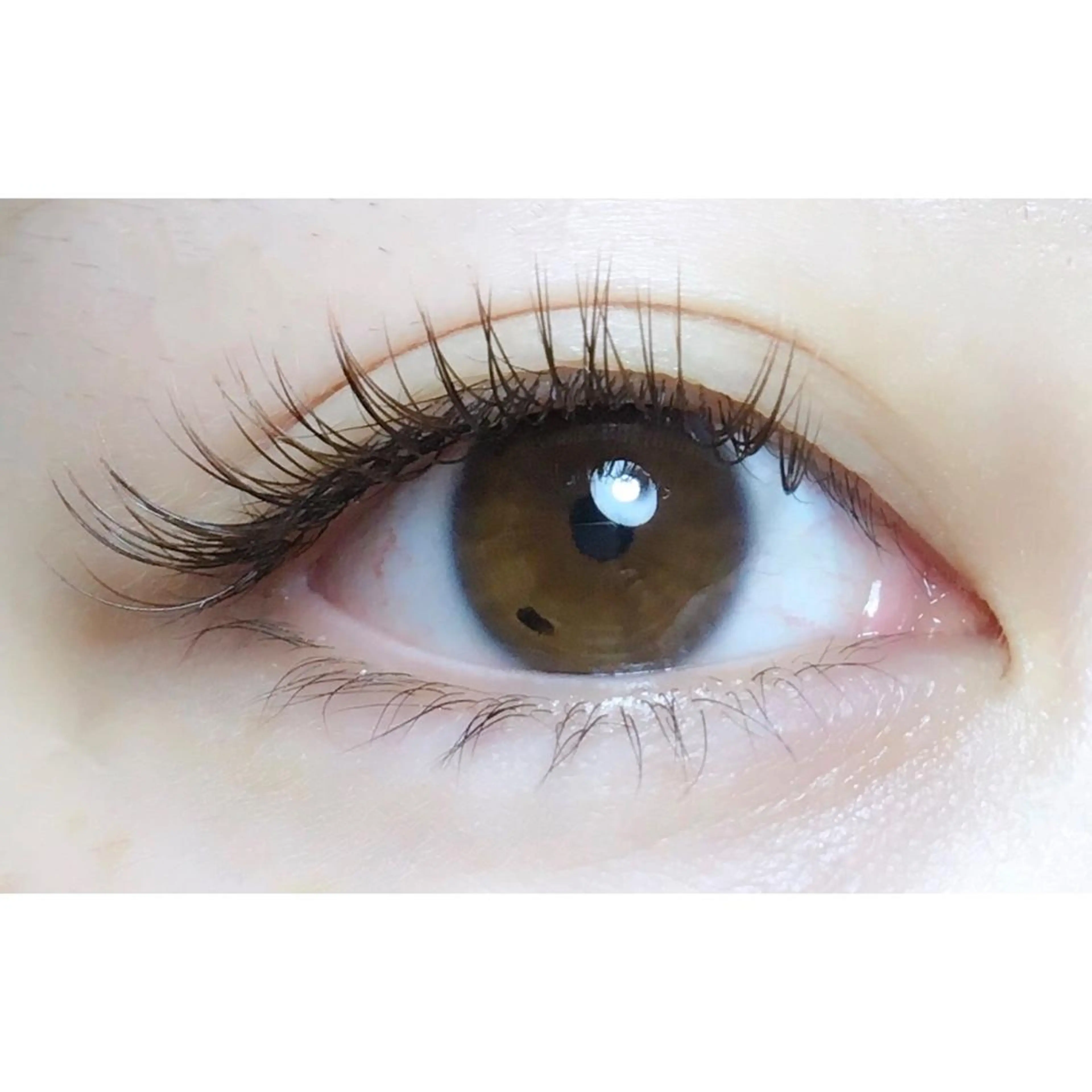 マツエク・マツパ merry eyelashのマツエク・マツパデザイン