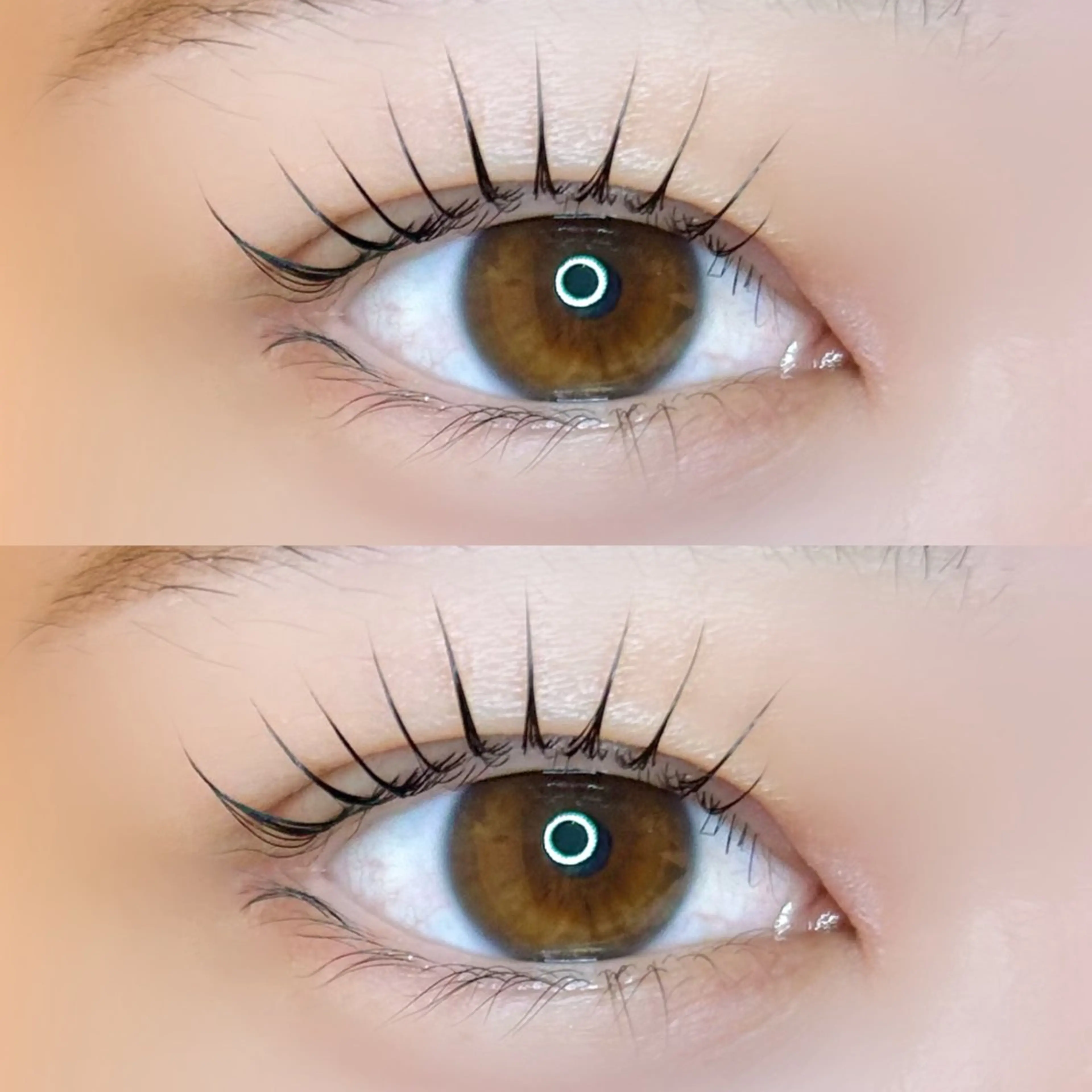 束感パリジェンヌ💖 ̖́-‬(美容液コーティング付き)の写真