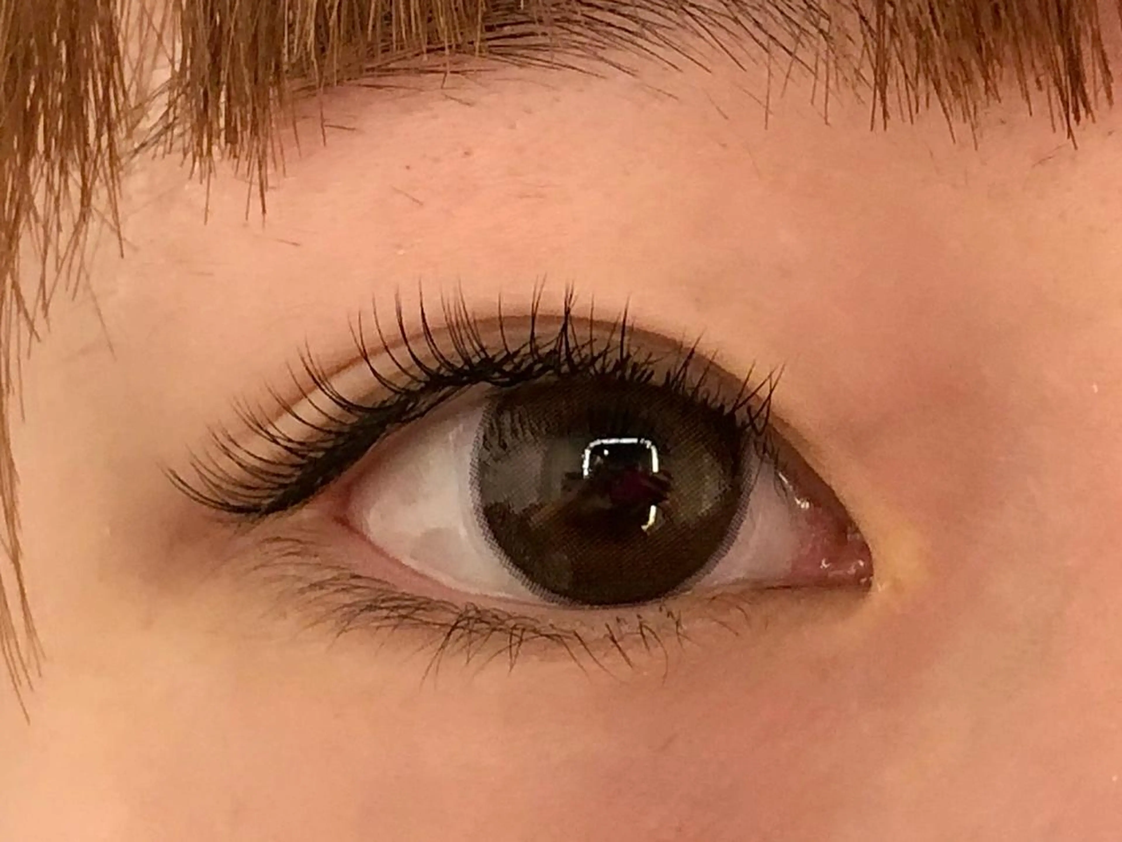 マツエク・マツパ ナチュラル セーブル H eyelash MIYUのマツエク・マツパデザイン