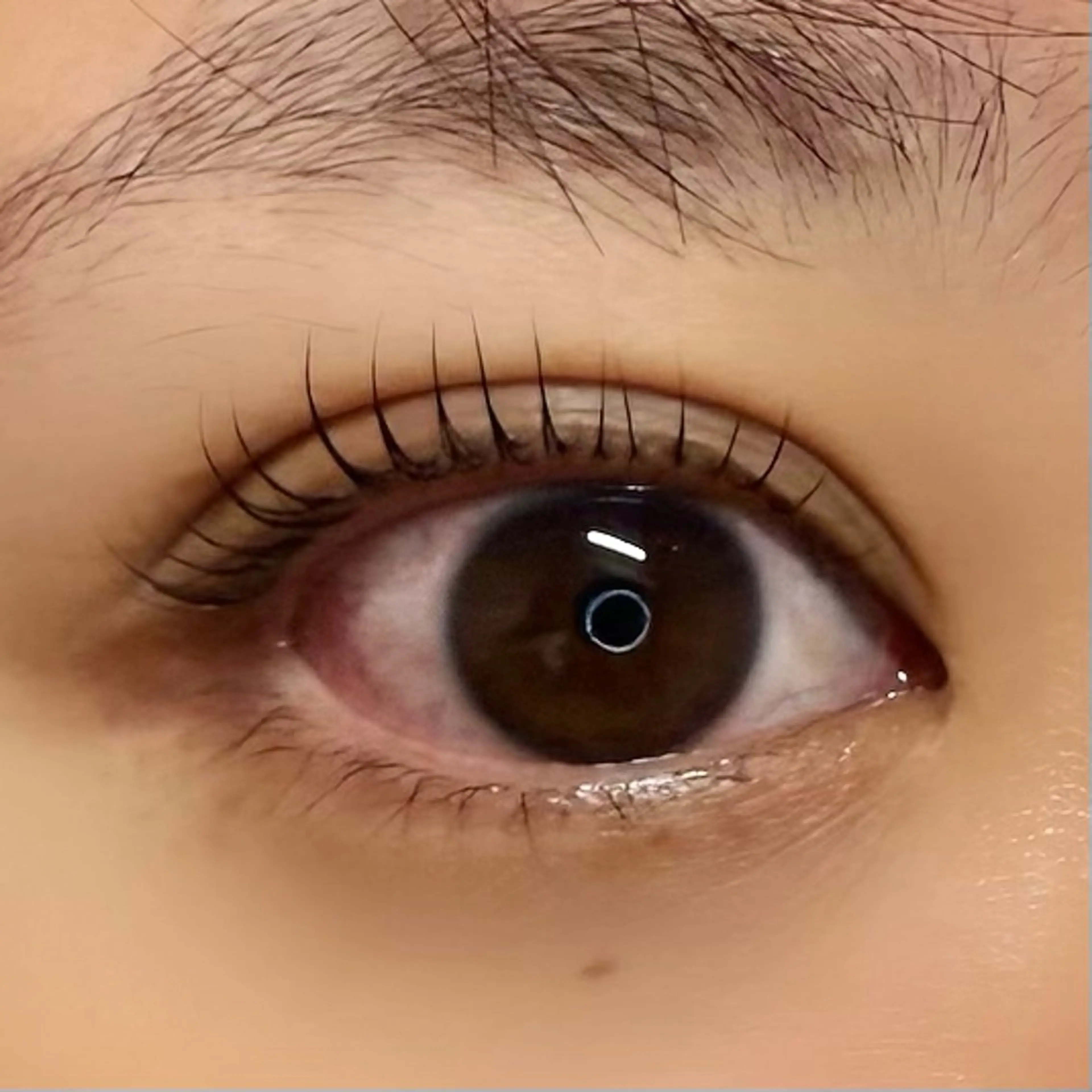 マツエク・マツパ Koa 🫧 Mei.のマツエク・マツパデザイン