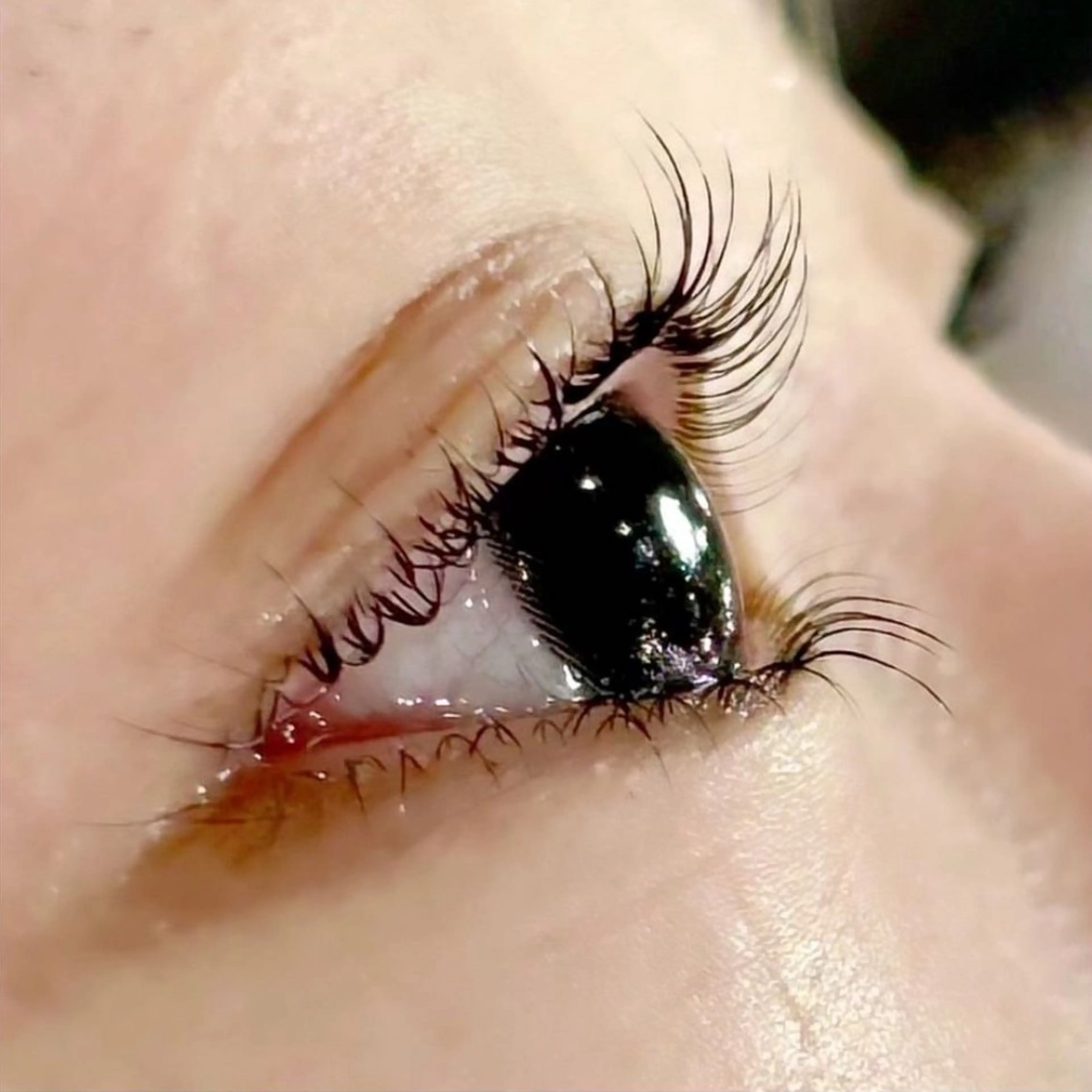 マツエク・マツパ パリジェンヌラッシュリフト Lucia 片山の眉毛・アイブロウイメージ