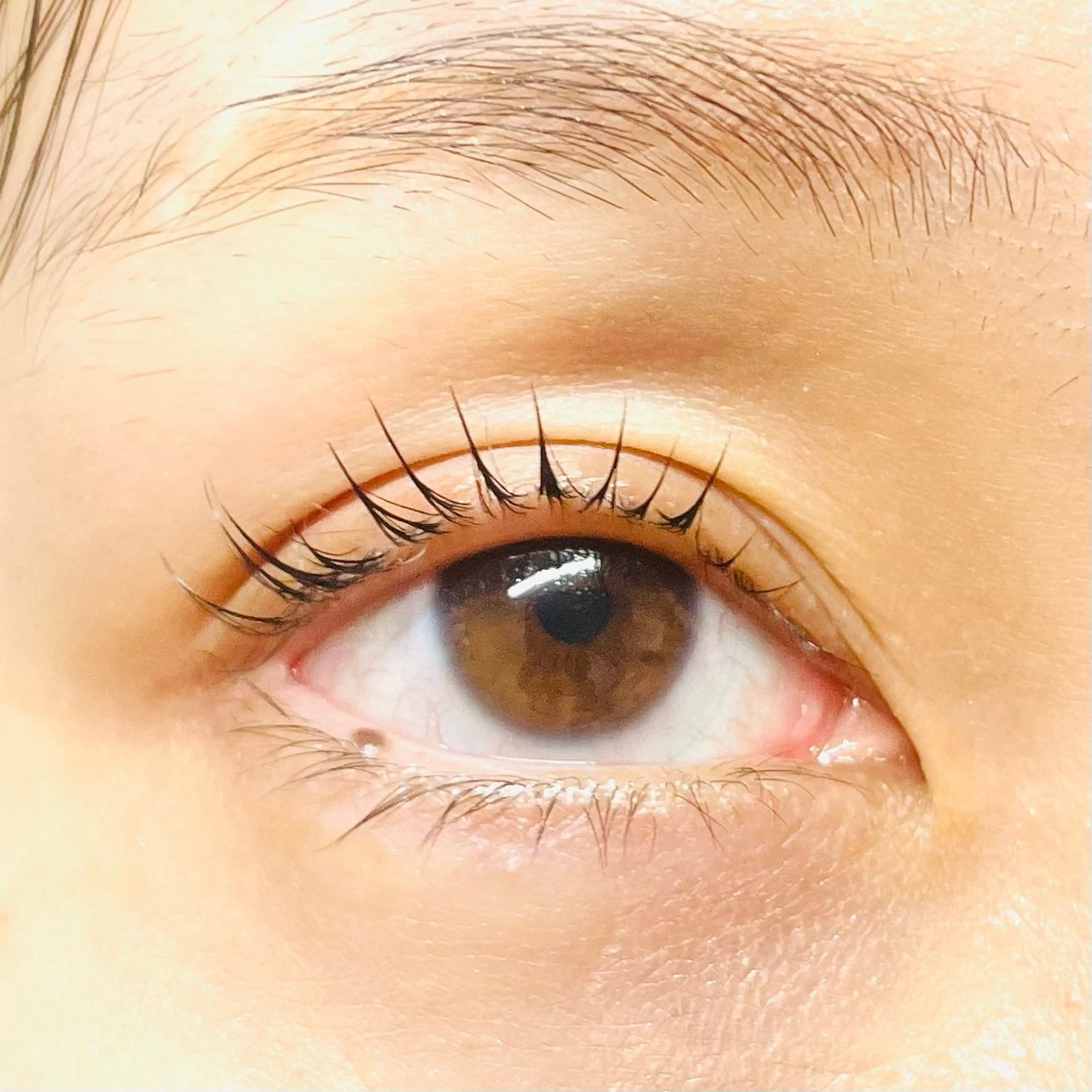 マツエク・マツパ sacco名駅/ Amiのマツエク・マツパデザイン