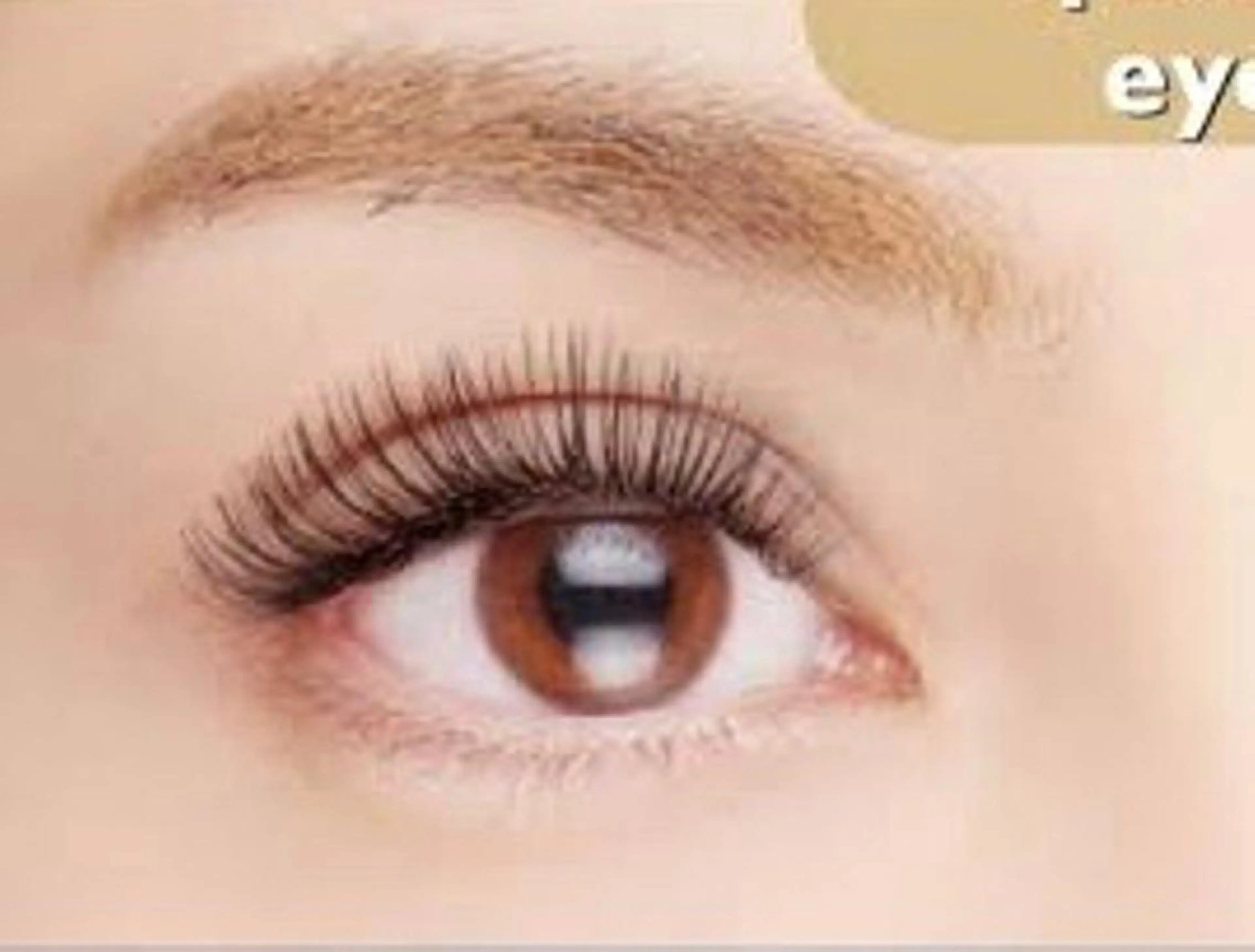 マツエク・マツパ Tsuda ririkaのマツエク・マツパデザイン