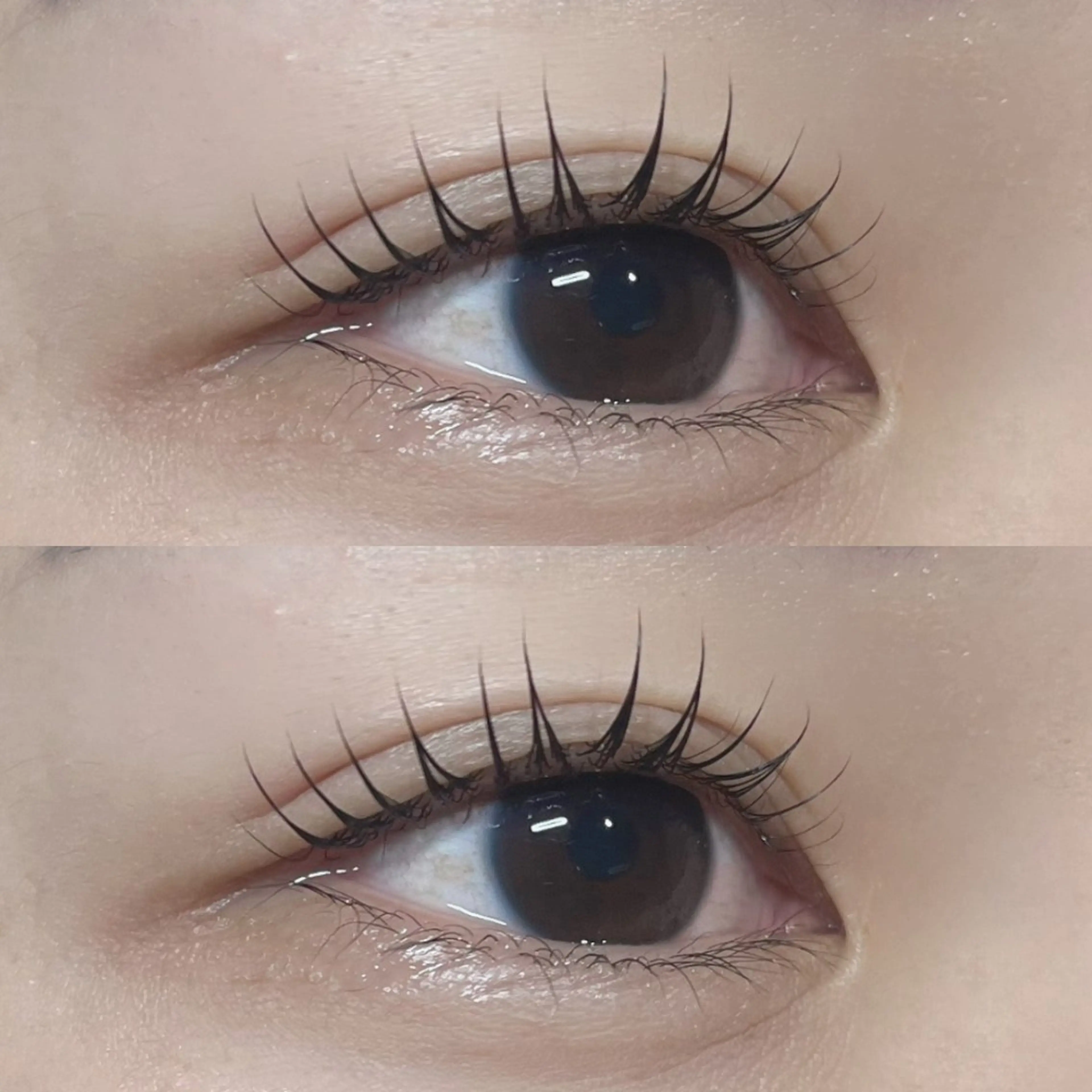 マツエク・マツパ LA CLARTÉ所属・京橋駅ｽｸﾞ🩷🦖 -LaCLARTE-のマツエク・マツパデザイン