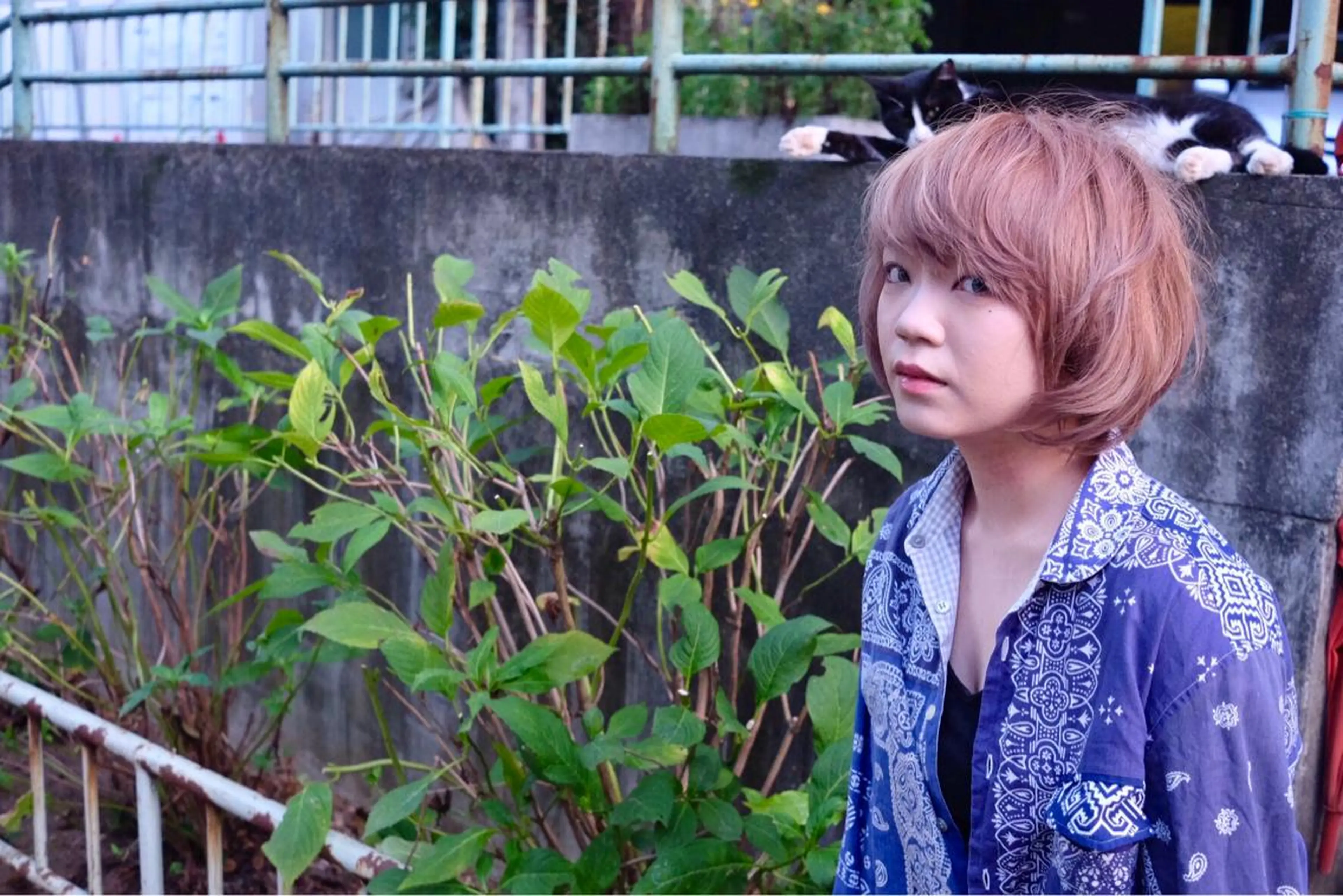 ショート カラー ショートボブ ボブ ショートヘア MIRUCO by KURAKU所属・マキシ ヤスアキのヘアスタイル