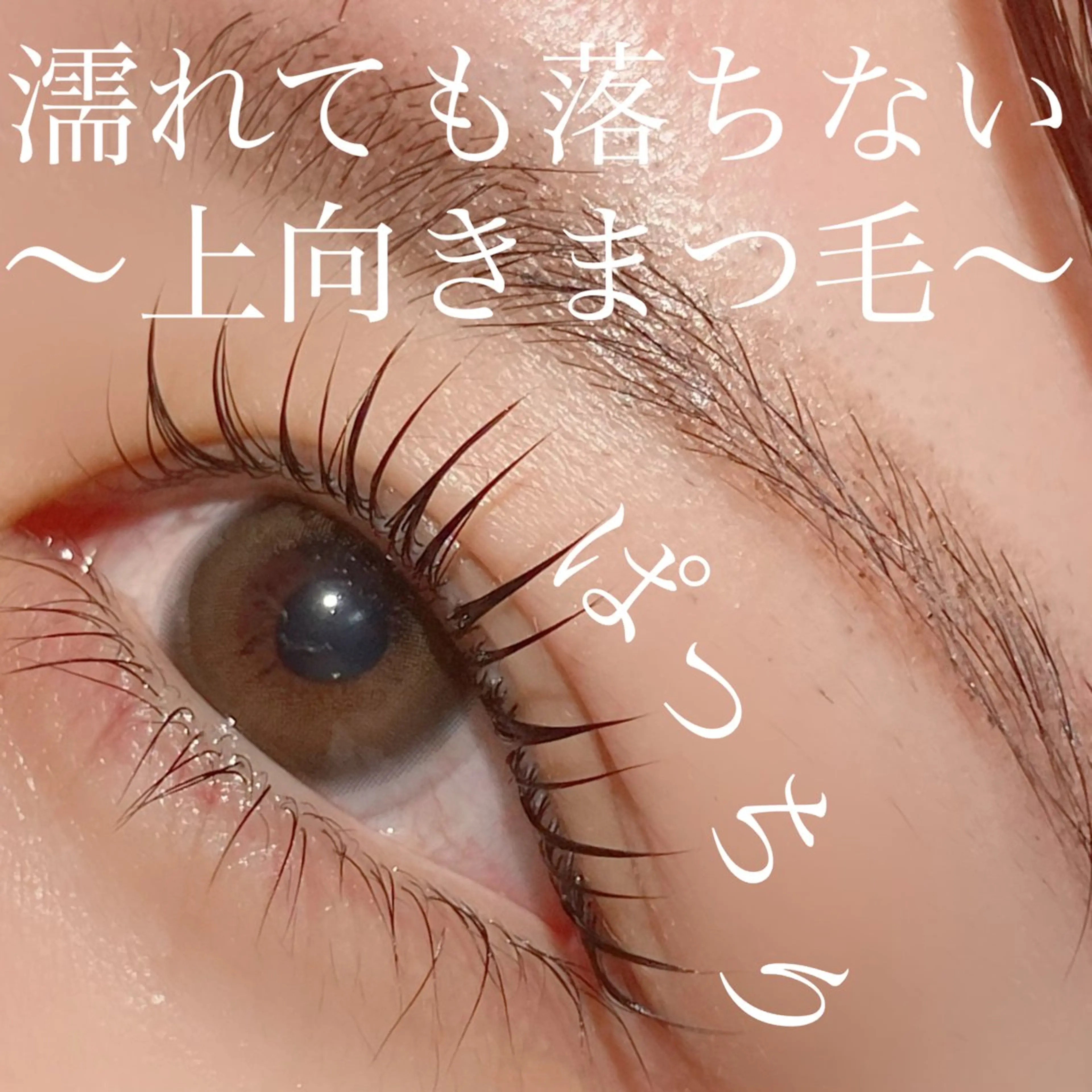 マツエク・マツパ filo所属・三谷 知代のマツエク・マツパデザイン