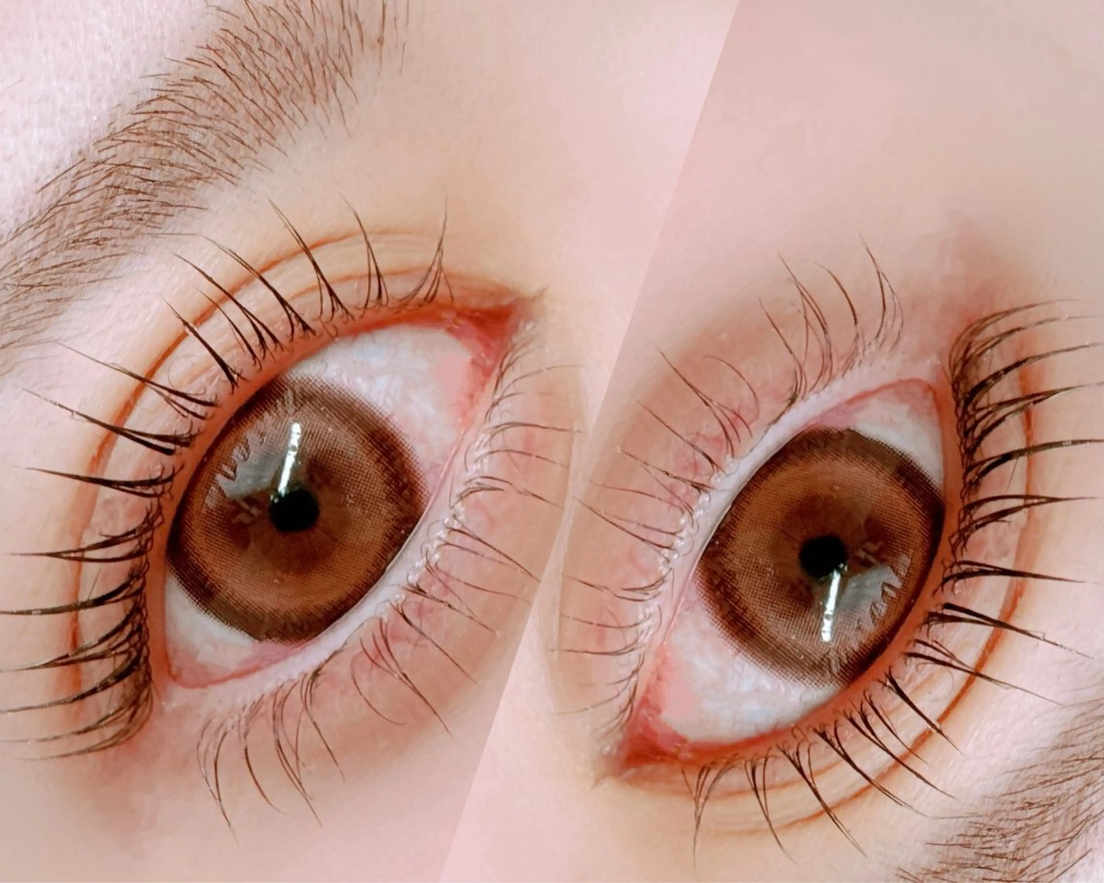 マツエク・マツパ 下まつげエクステ 一重×まつ毛パーマ Nicore所属・肌質改善🌿まつ毛 chapiのその他イメージ