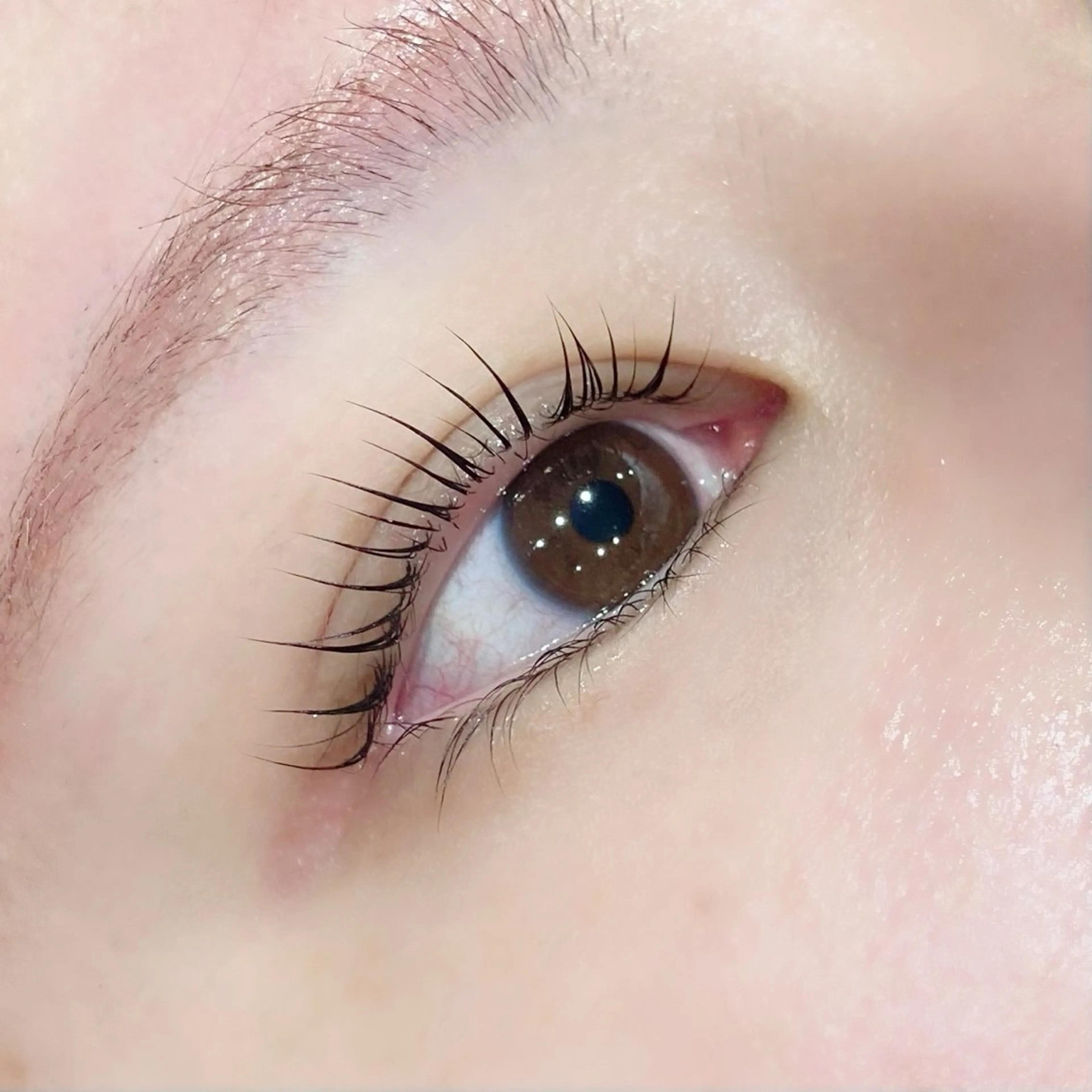 マツエク・マツパ gioia池袋店所属・gioia 根津のマツエク・マツパデザイン