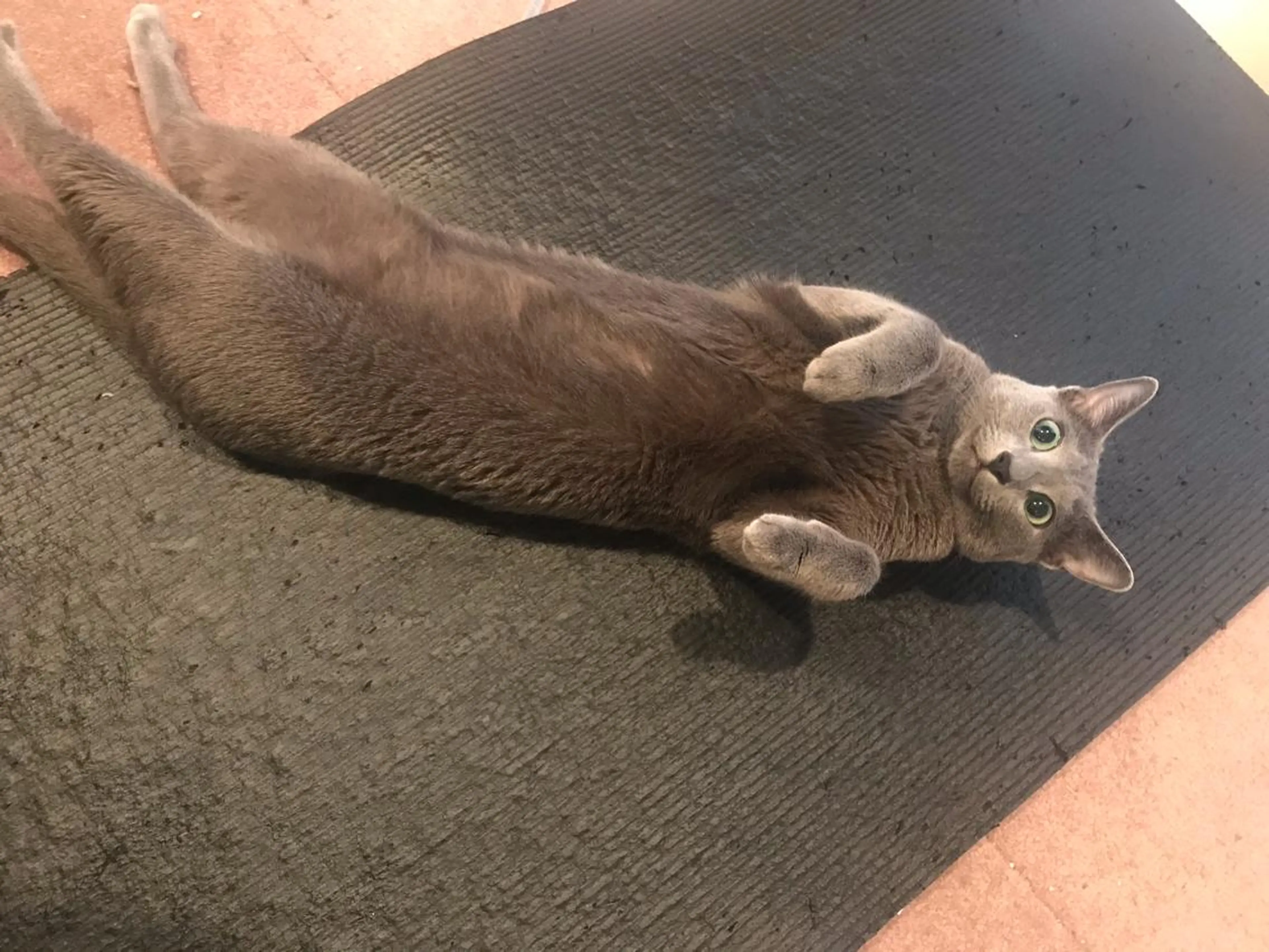 ショート カラー キッズ ネイル マツエク・マツパ アニメ,Vオタク× 即効痩せエステサロンのエステ・リラクイメージ