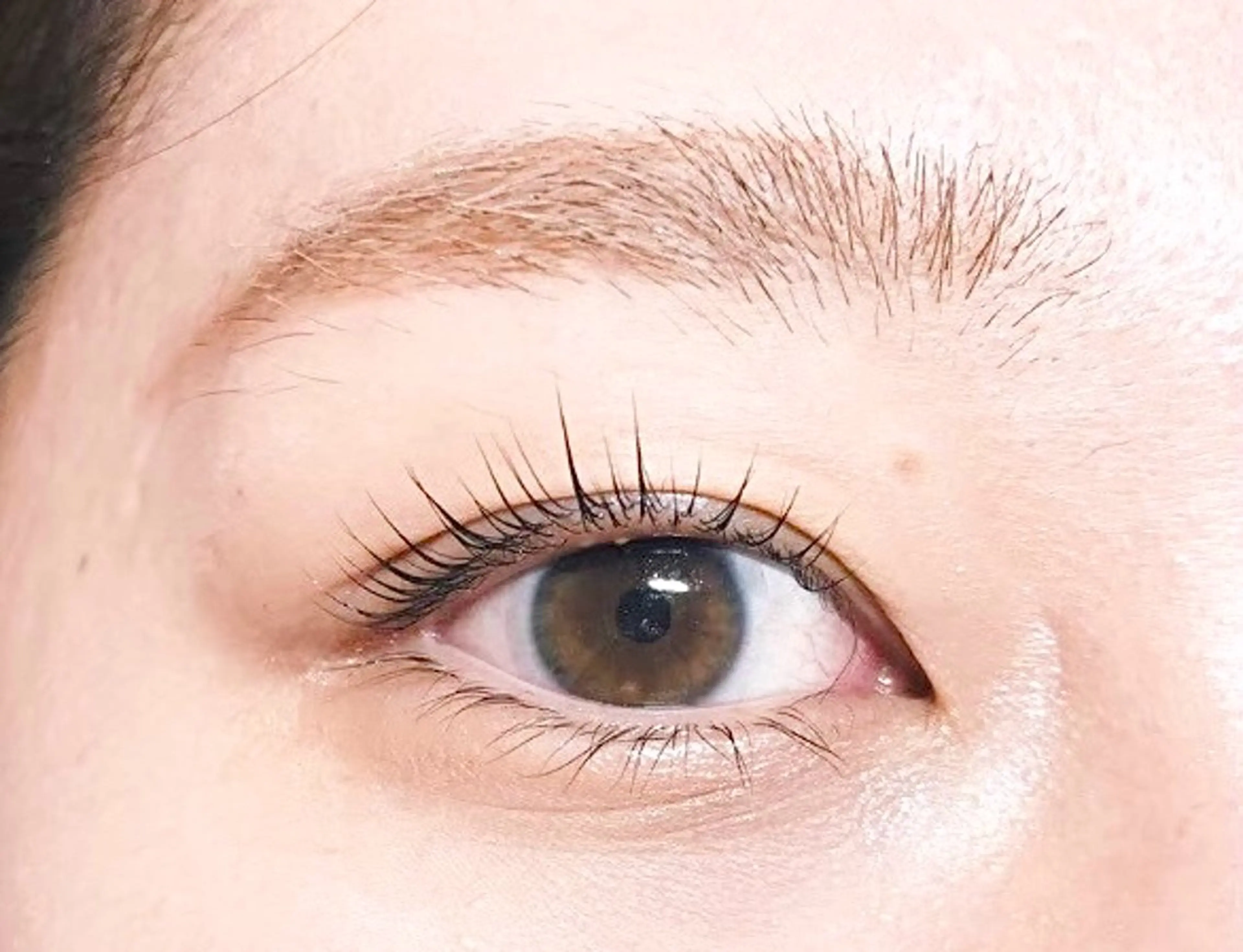 パリジェンヌラッシュリフト上下(アイシャンプー付き)の写真