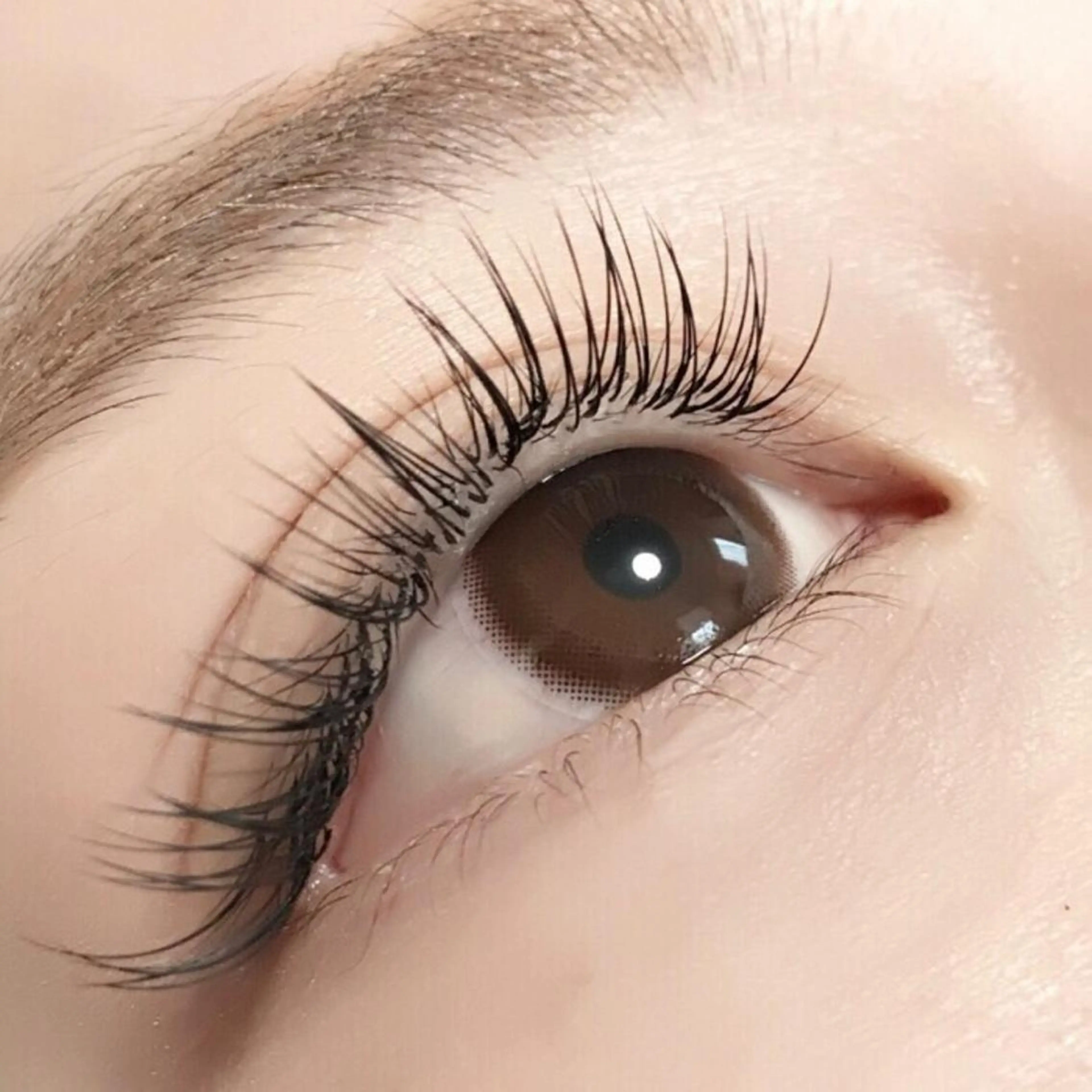 🧡当店オフ無料🧡フラットラッシュ付け放題【ブラウン変更＋500円】の写真