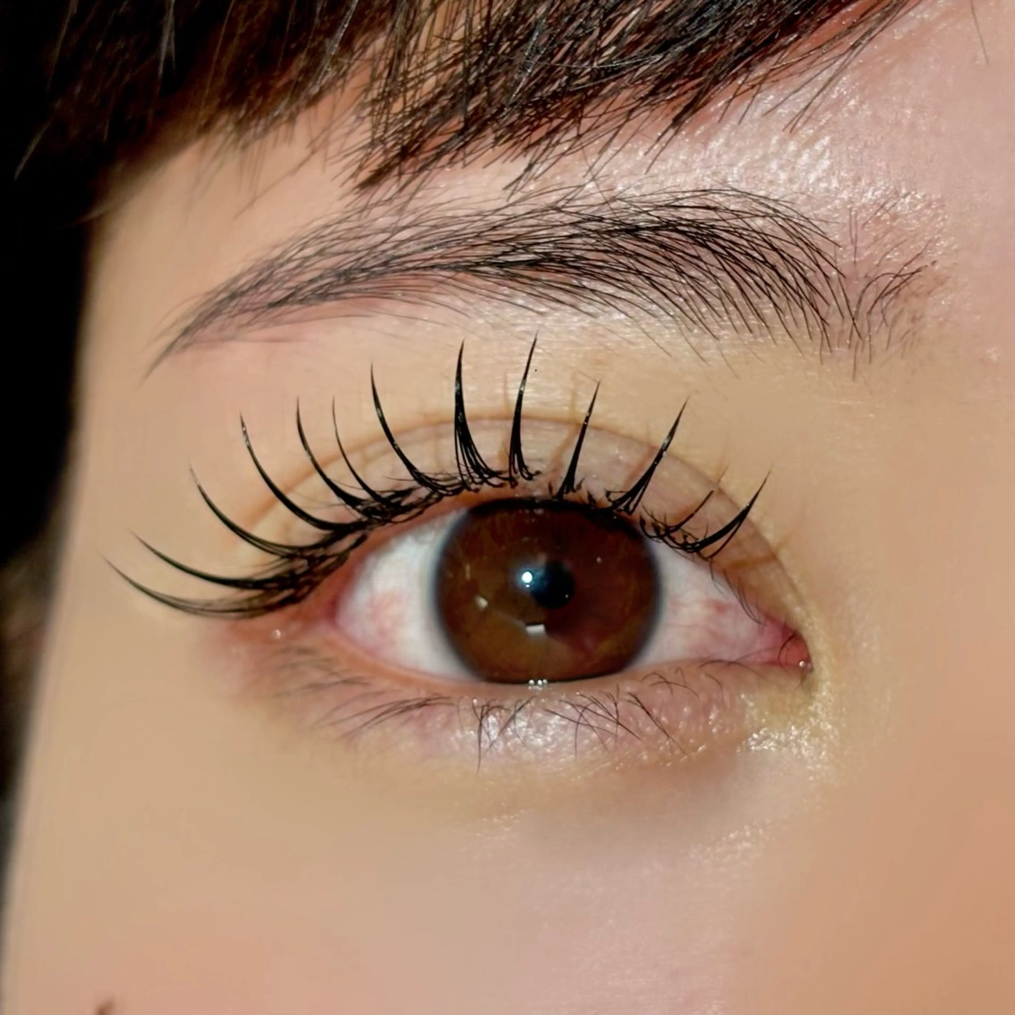 フラットラッシュ　120本　ご新規様オフ無料の写真