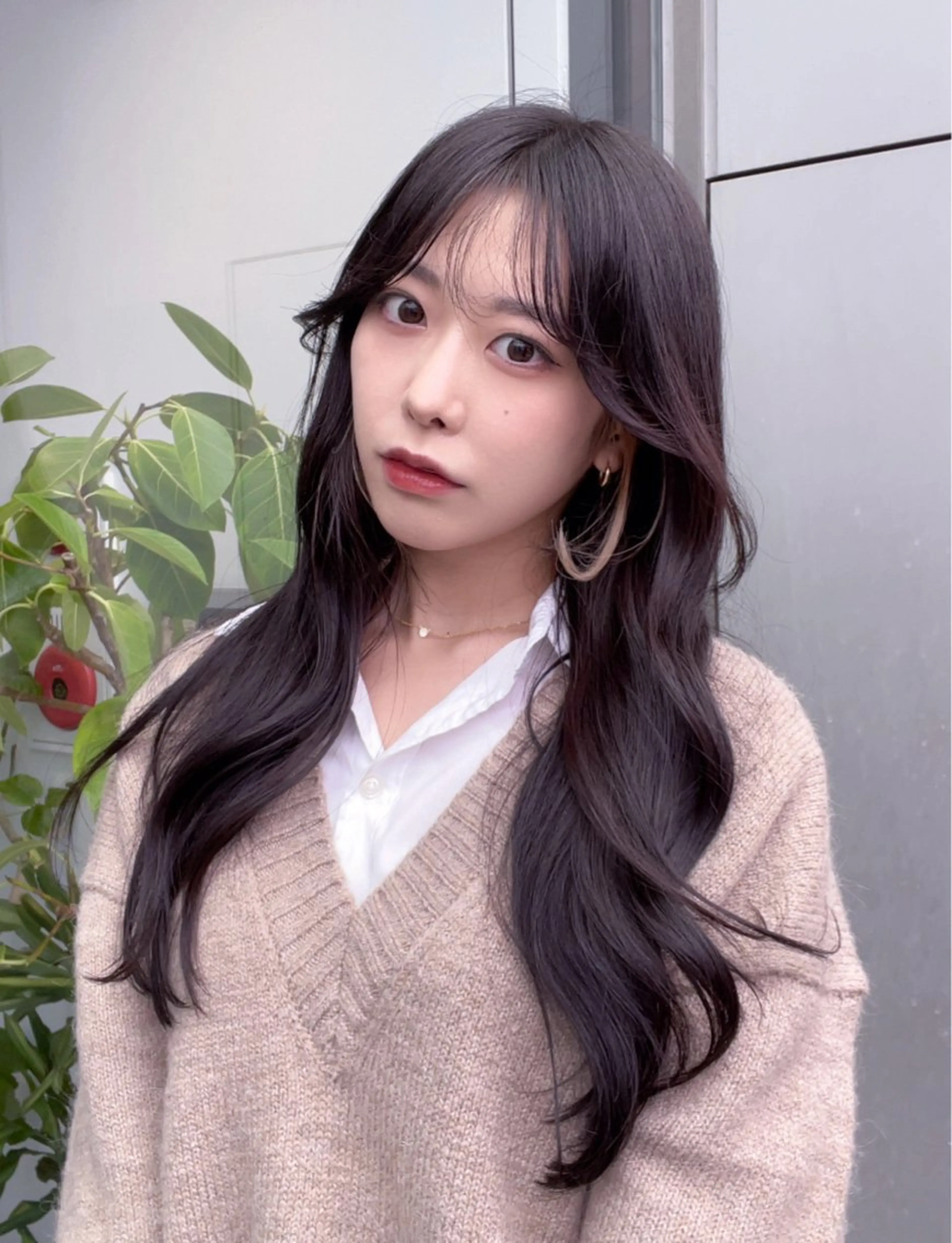 セミロング カラー カット ヘアカラー トリートメント 🌫️大人韓国ヘア 🌫️naoyaのヘアスタイル