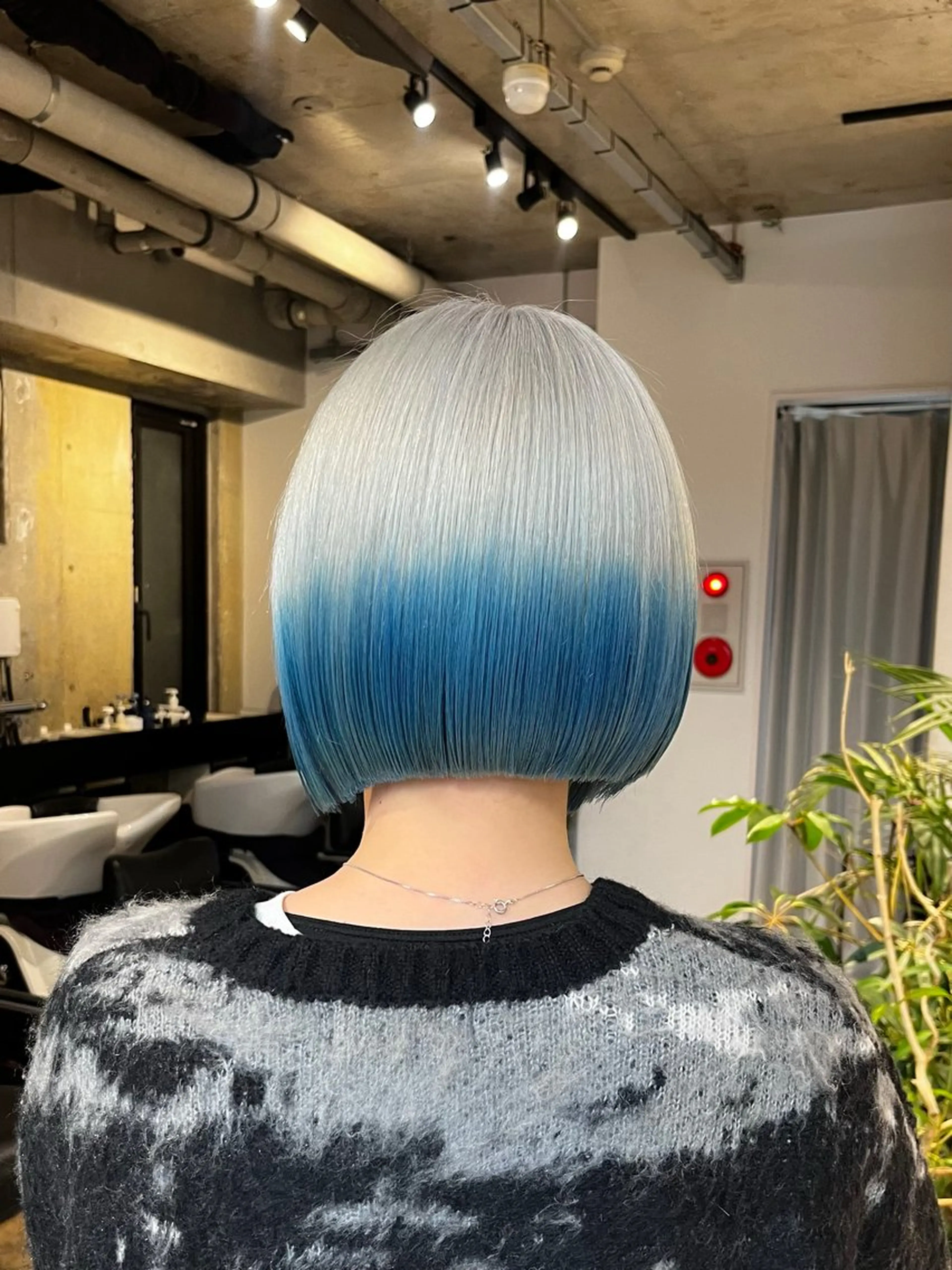 カラー デザインカラー ハイトーンカラー ウルフとデザイン カラーの神のヘアスタイル