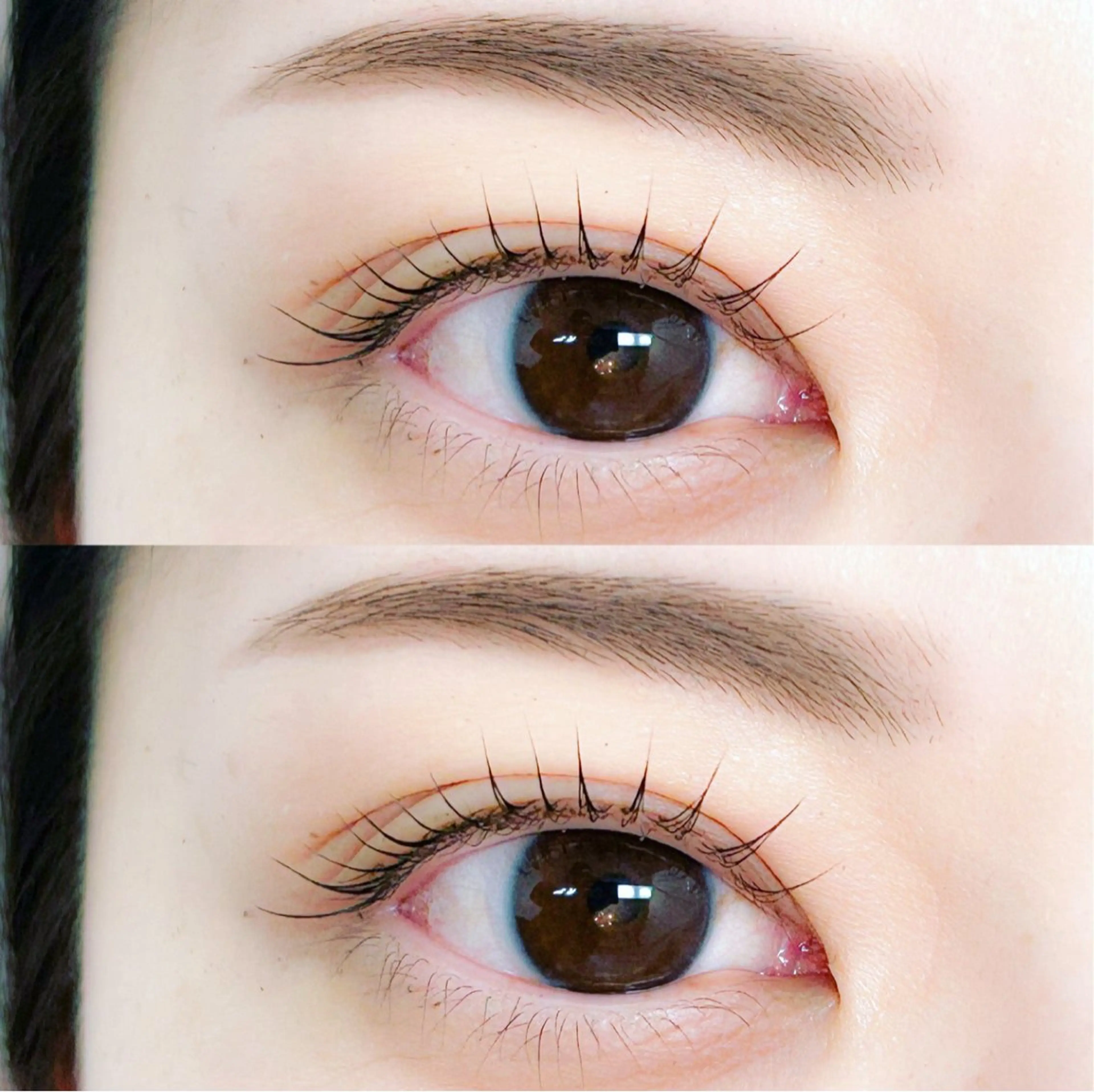 【📌2/4(水)~2/6（金）時間、日にち指定あり】まつげパーマ×アイブロウスタイリング※補足を必ずご確認下さいの写真