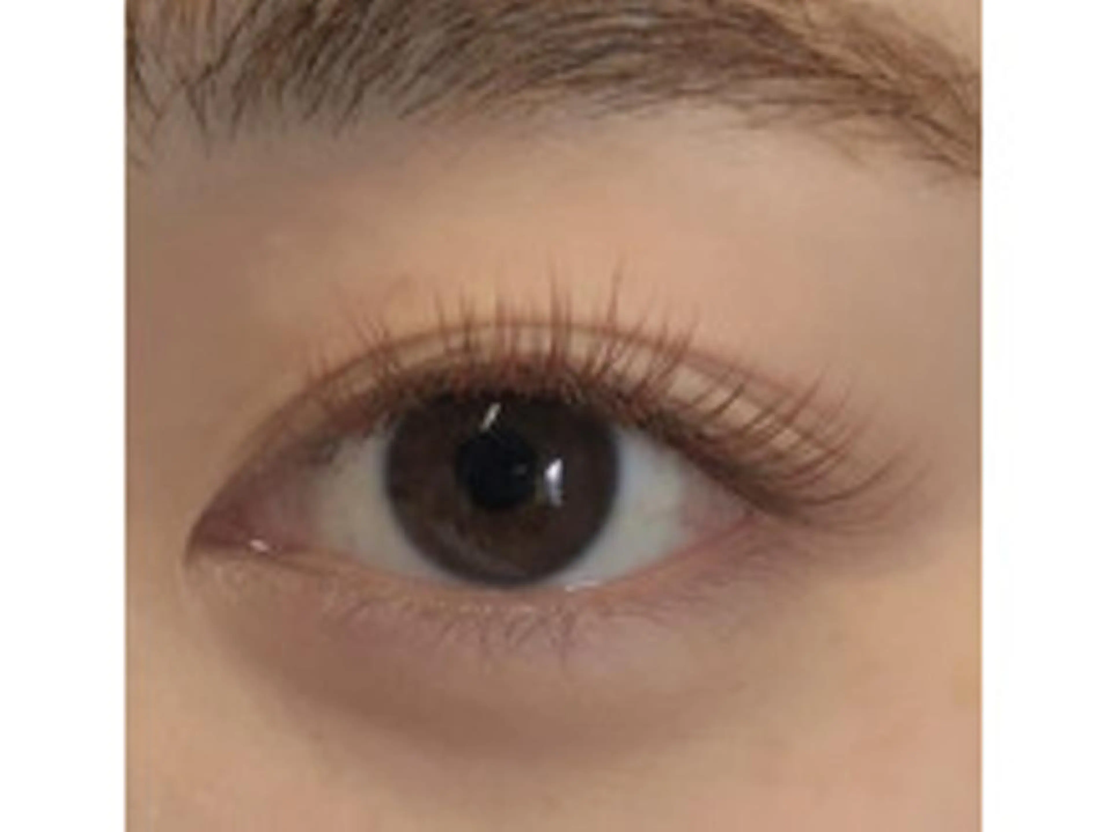 マツエク・マツパ やまとなでしこ💜 AYAのマツエク・マツパデザイン