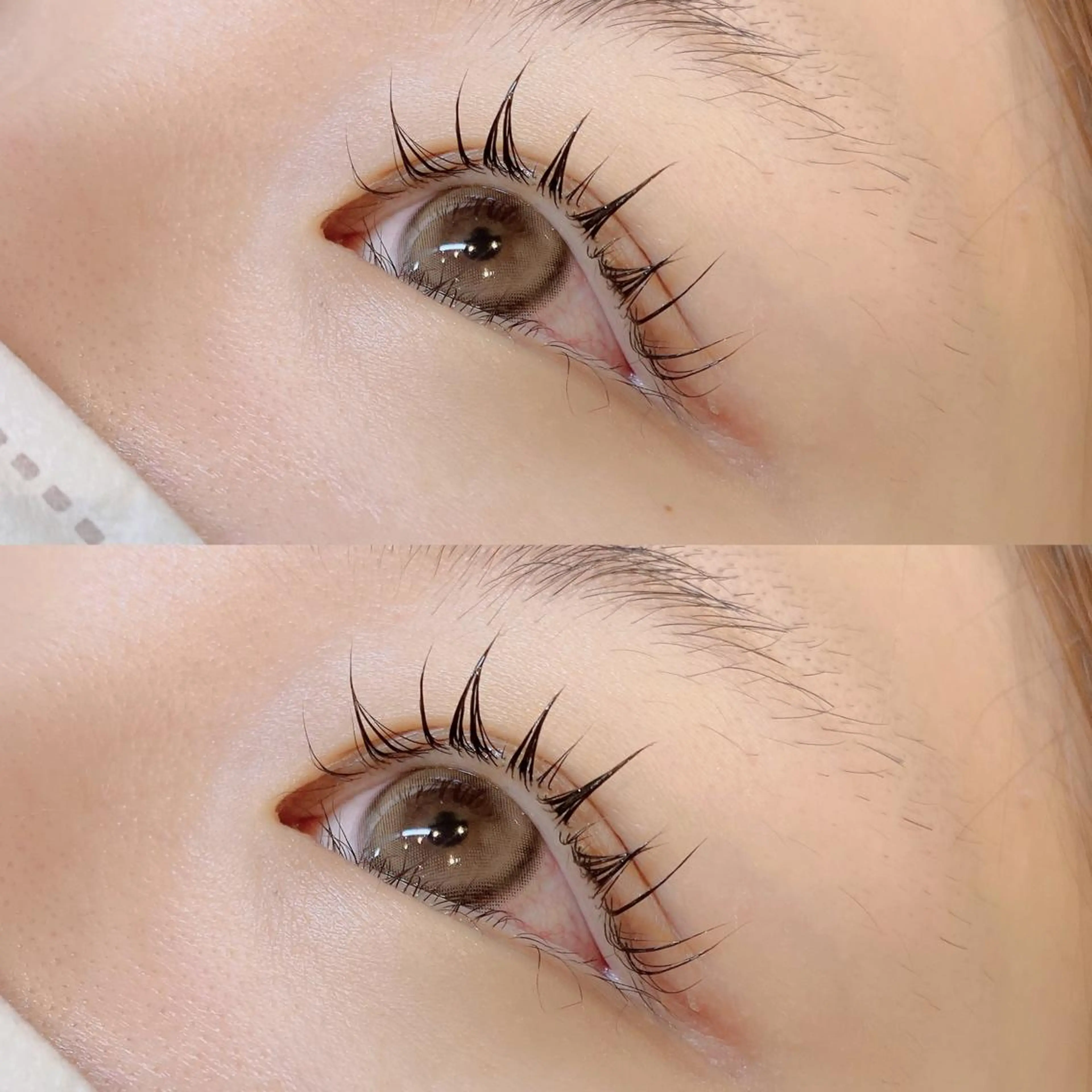 マツエク・マツパ マツパ earth高岡店 / rinaのマツエク・マツパデザイン