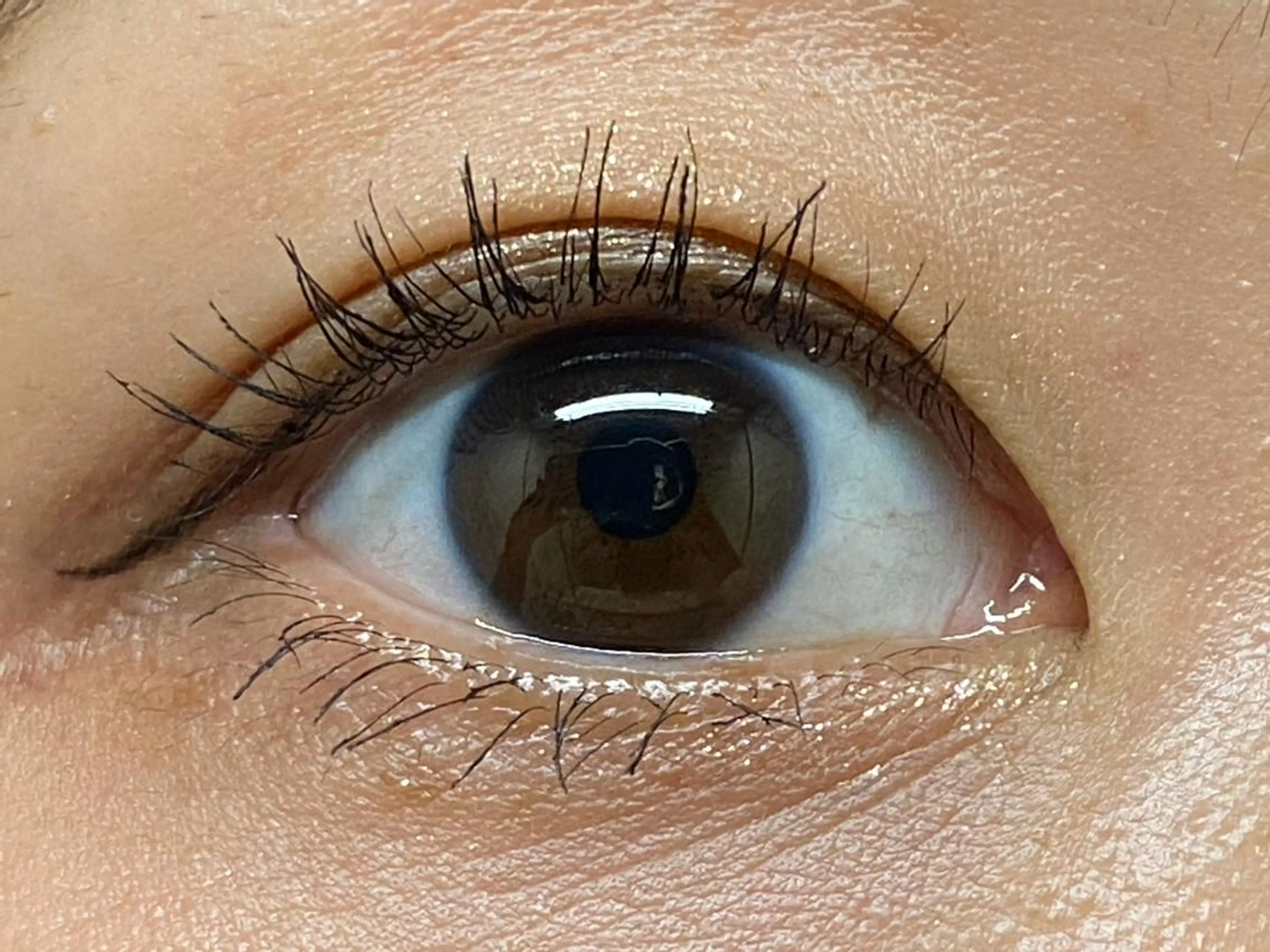 マツエク・マツパ ナチュラル パリジェンヌラッシュリフト ehl:fa Beautyのマツエク・マツパデザイン