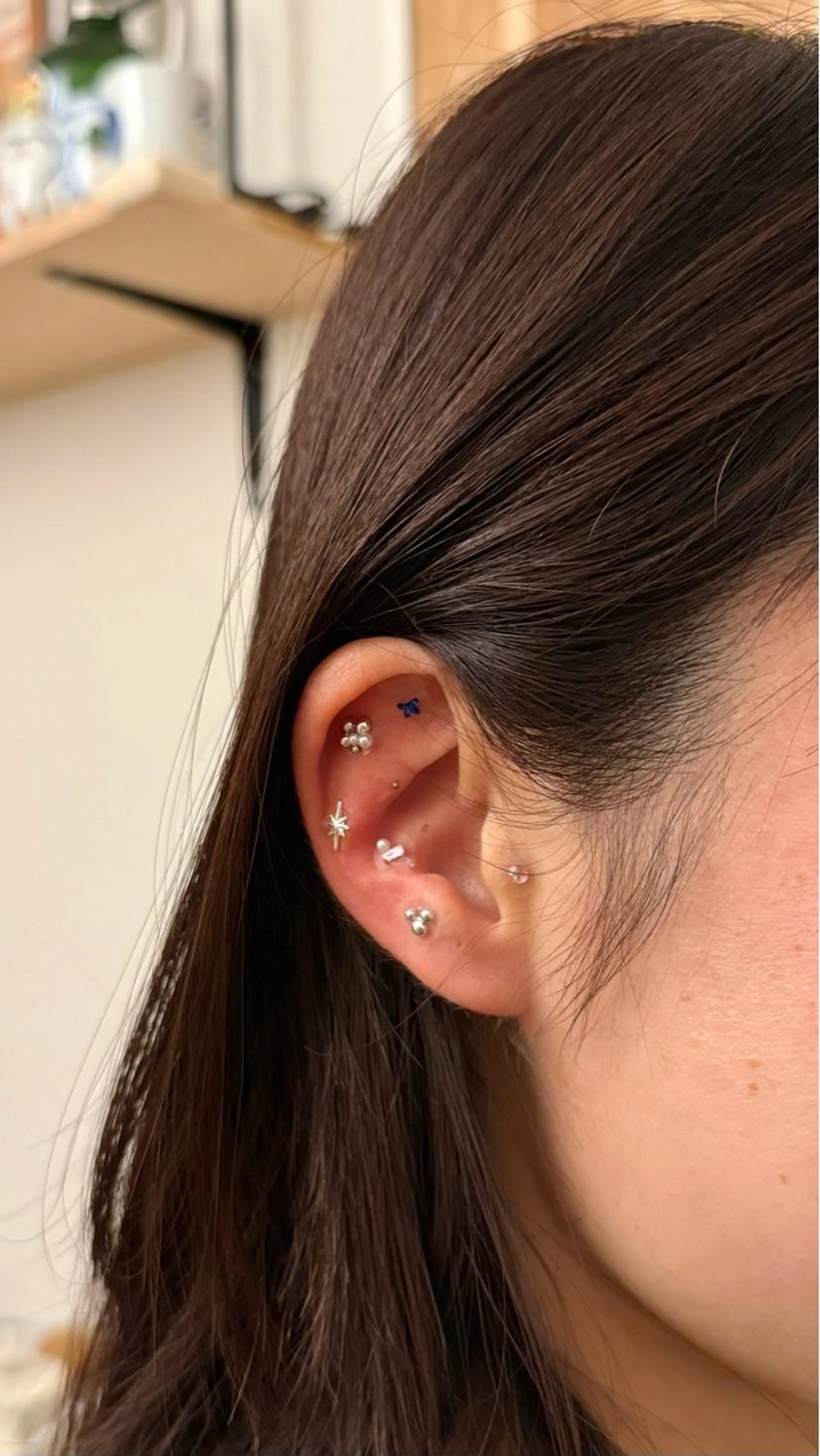 B.napus/mimi2bo所属・B.napus Nanohaのその他イメージ