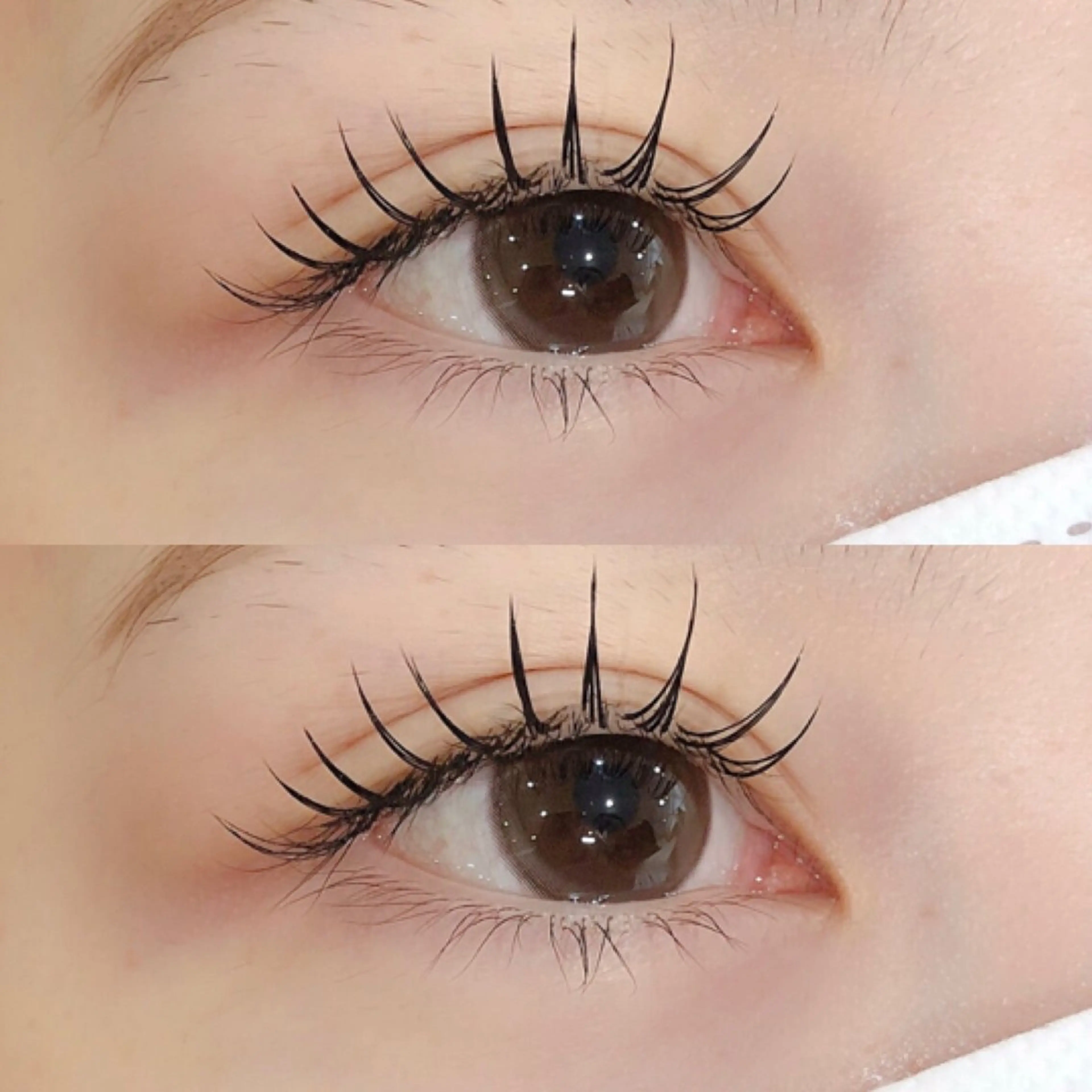 ✨️🇰🇷韓国風エクステ120本(オフなし)🇰🇷_4900の写真