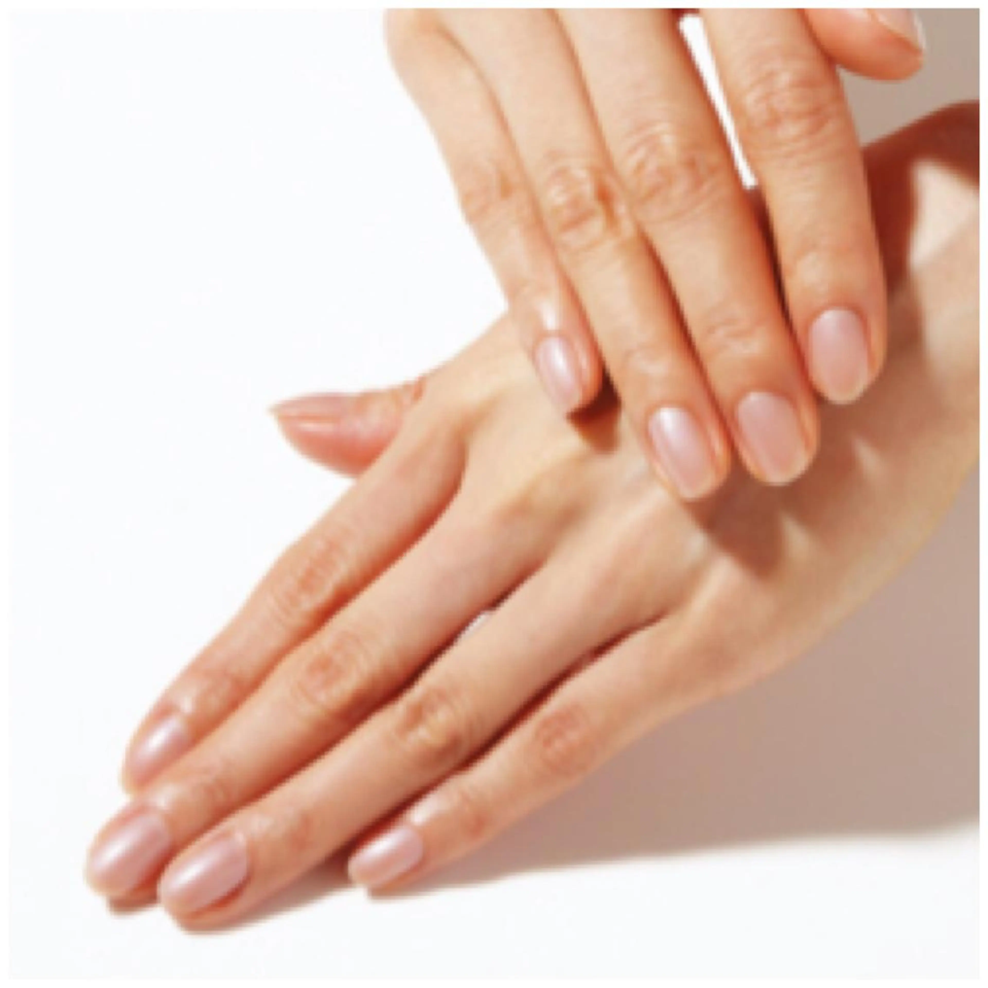 長さだし(1本)の写真