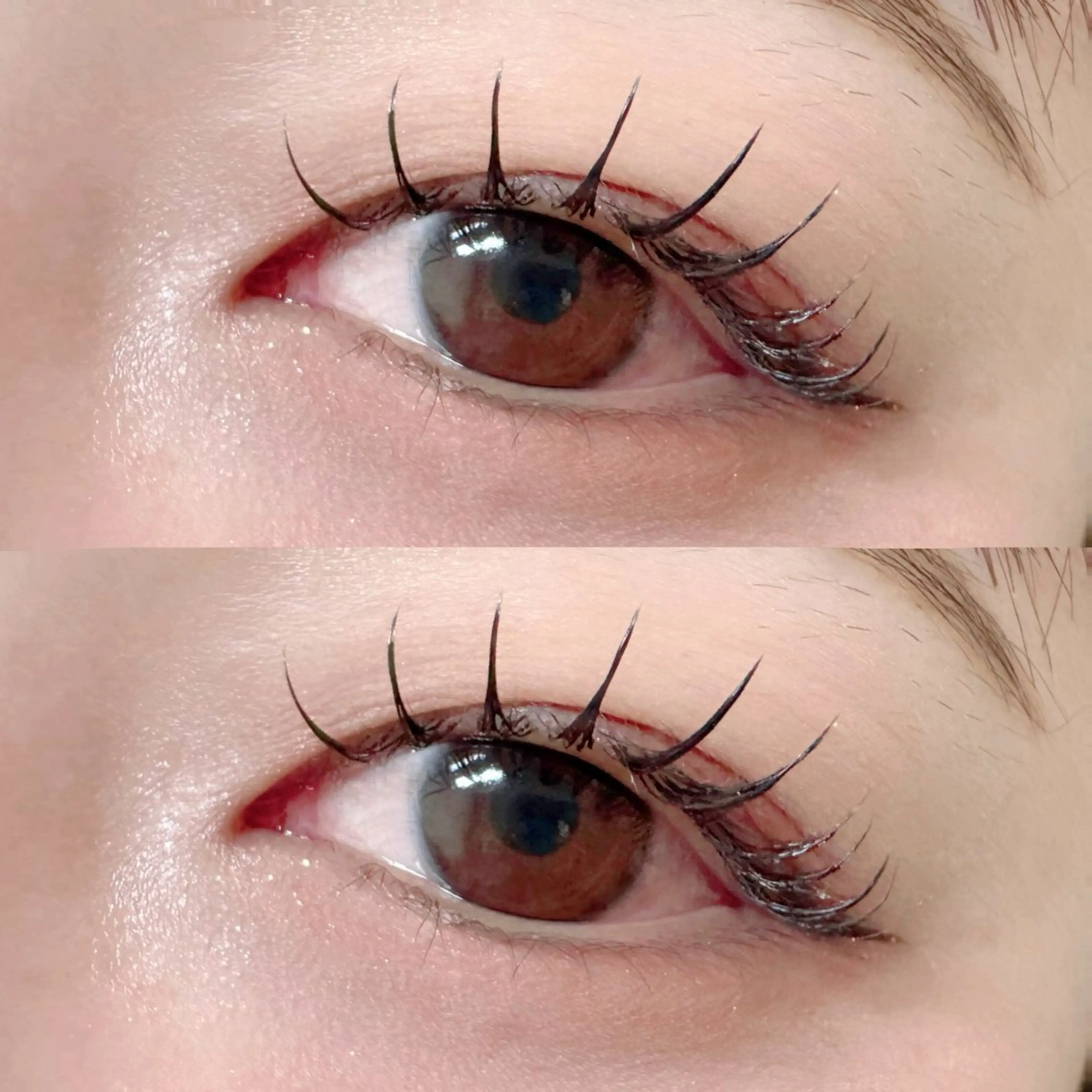 【✨ご新規様限定クーポン】🎶LEDフラットラッシュ 🐰ྀི   120本まで　オフ・コーティング込みの写真