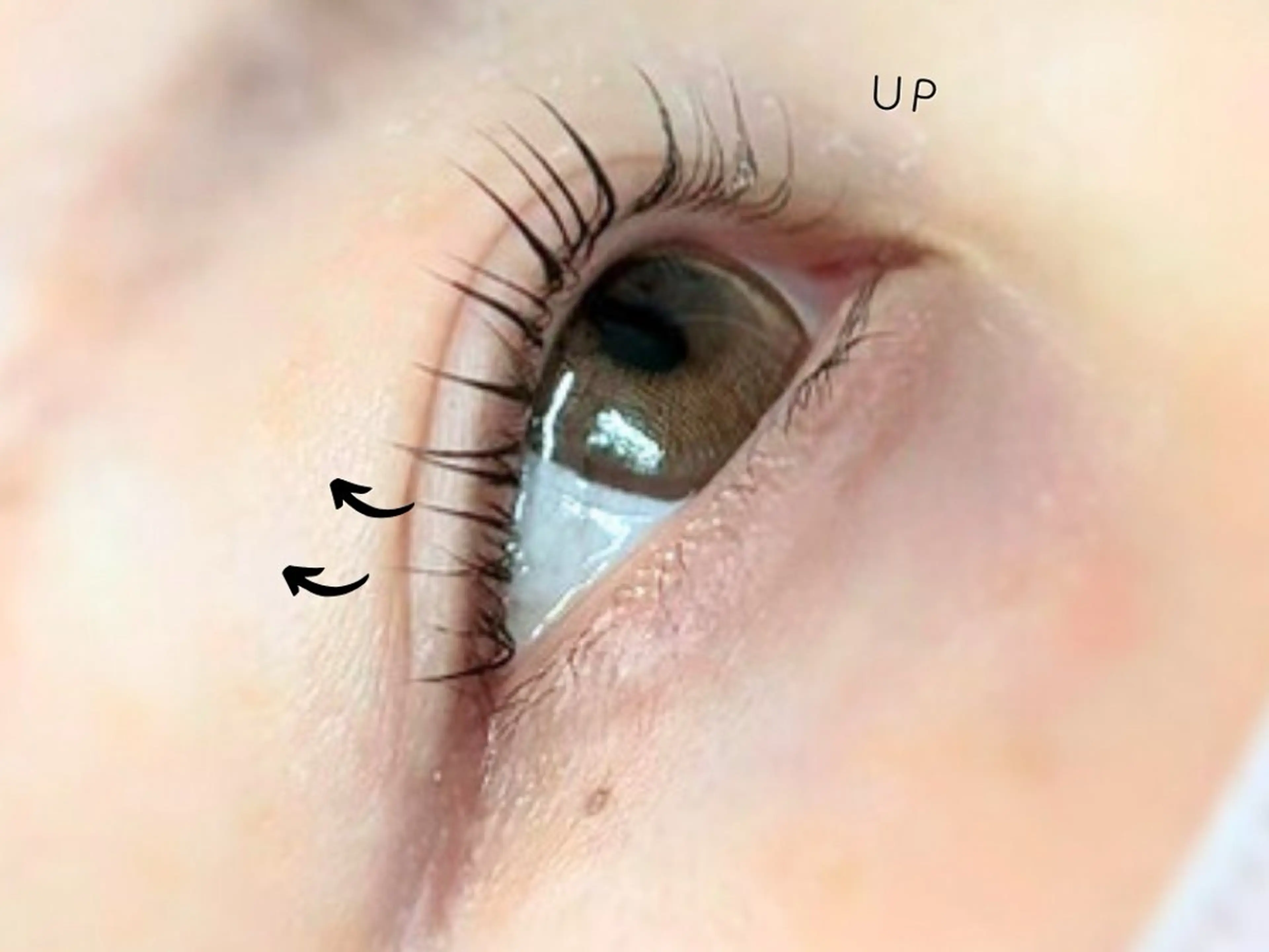 マツエク・マツパ NaturalViVi宮下公園店所属・ナチュラル ビビ宮下公園のマツエク・マツパデザイン