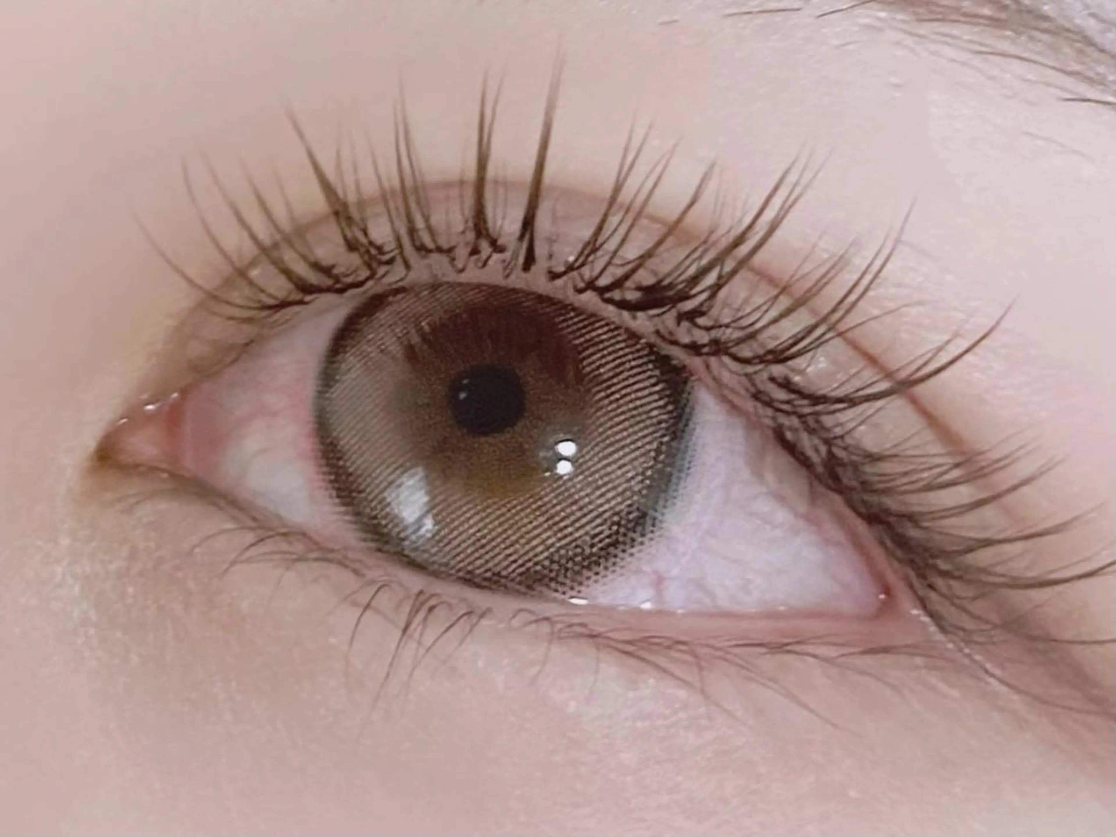 【マツエク】セーブルラッシュ160本の写真