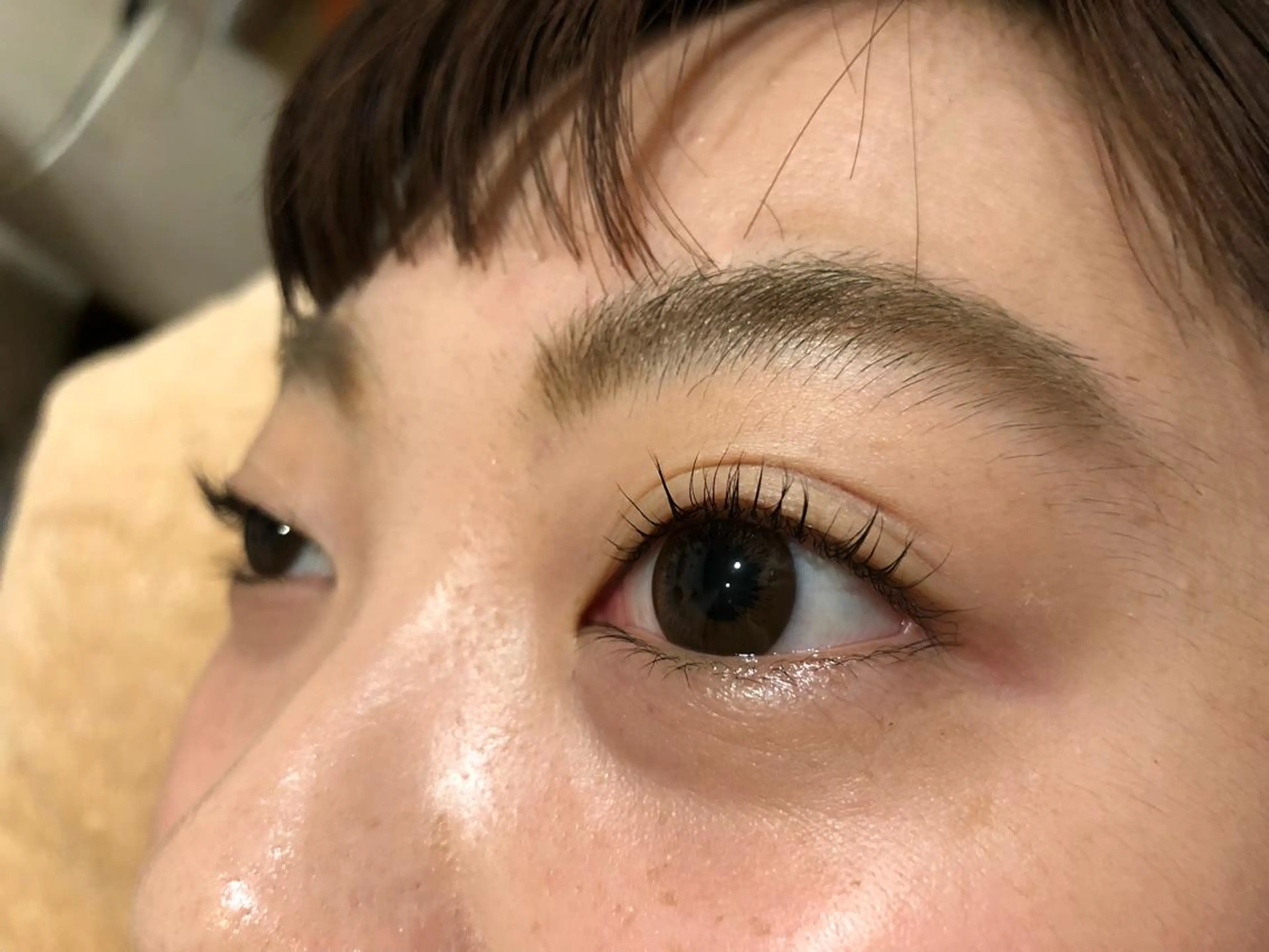 マツエク・マツパ マツパ 🐰 坂本 麗 🐰の眉毛・アイブロウイメージ