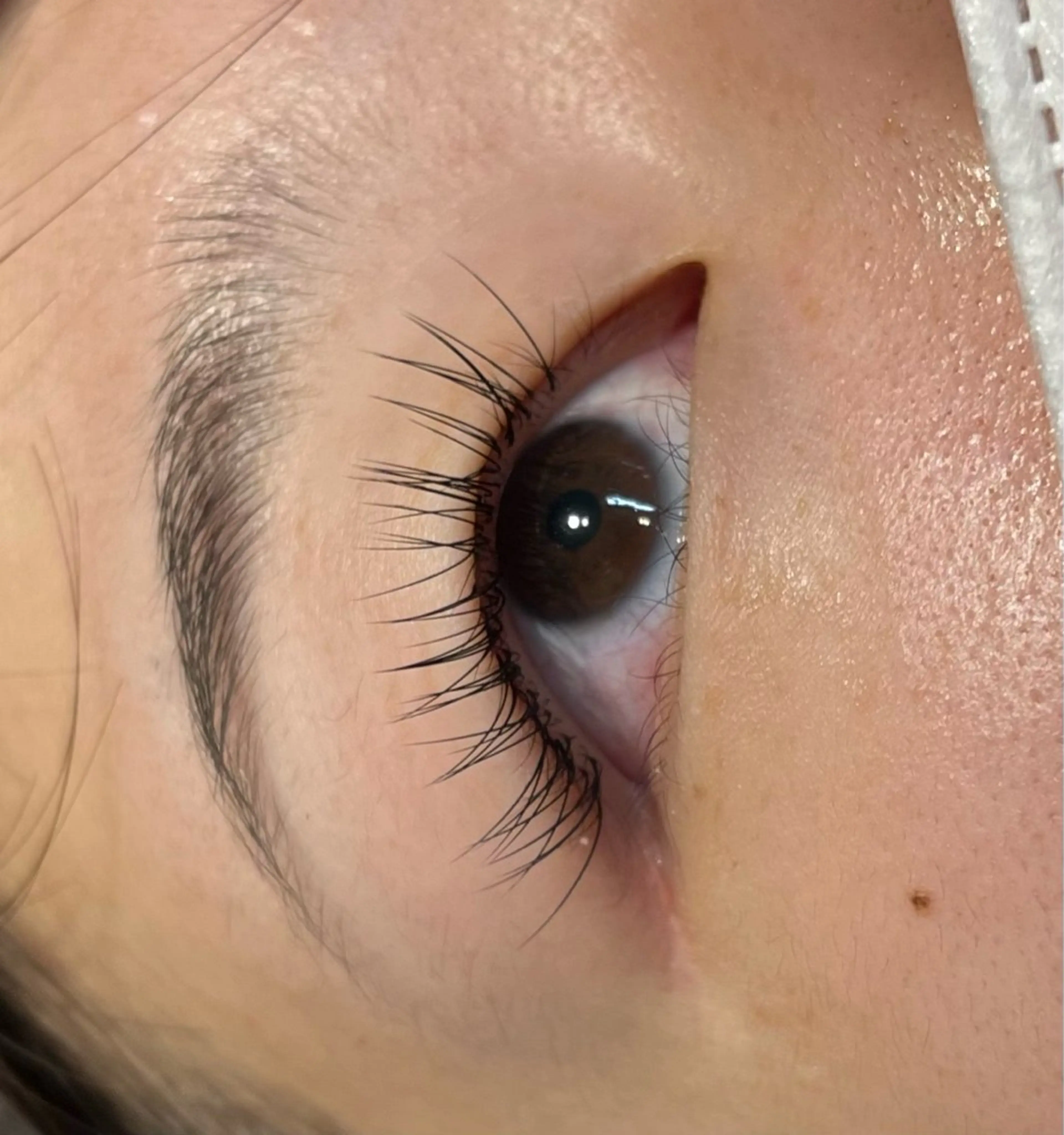 マツエク・マツパ シルク MAQUIA蒲田店 横山のマツエク・マツパデザイン