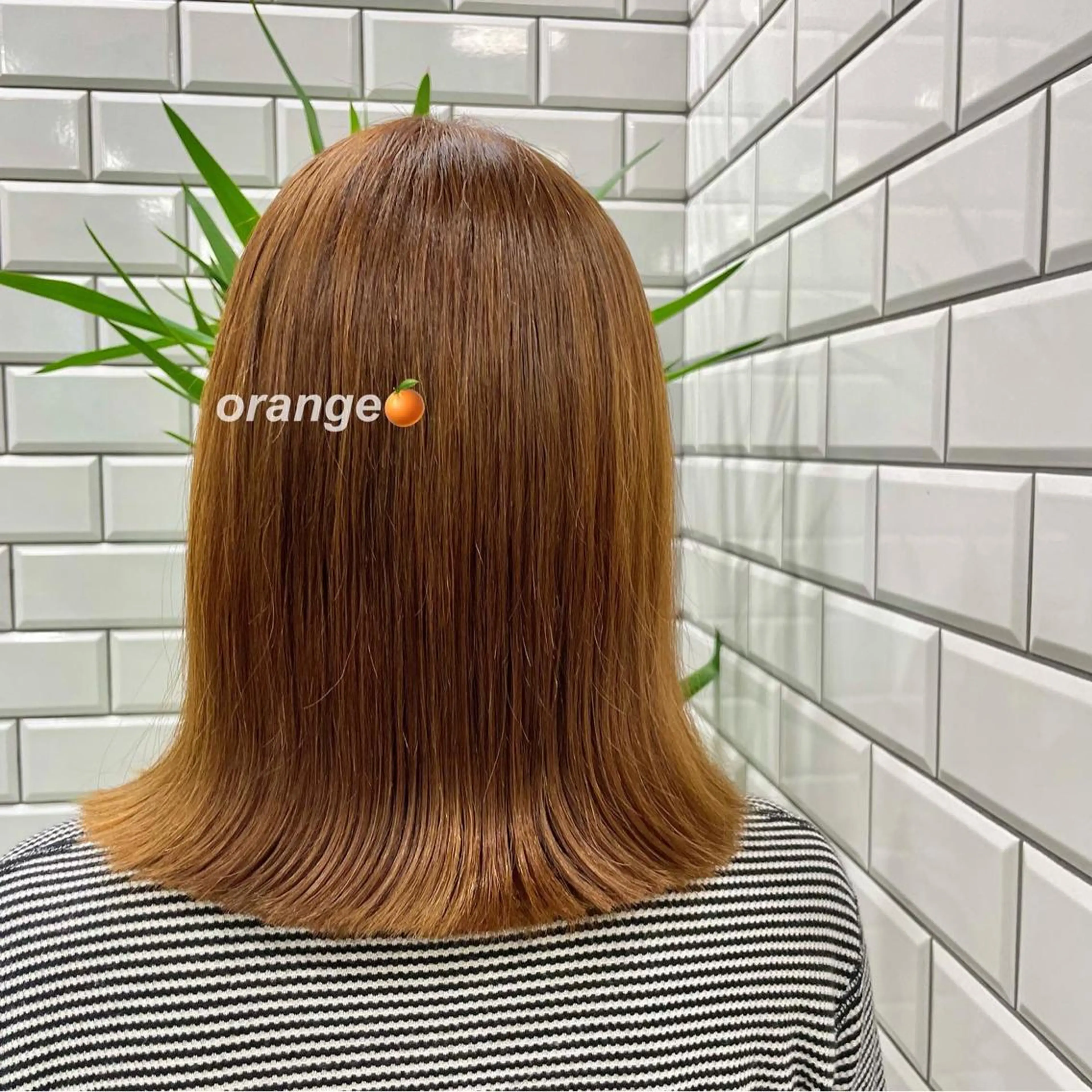 ミディアム カラー カット ヘアカラー トリートメント タケダケイ /ショート/ボブのヘアスタイル