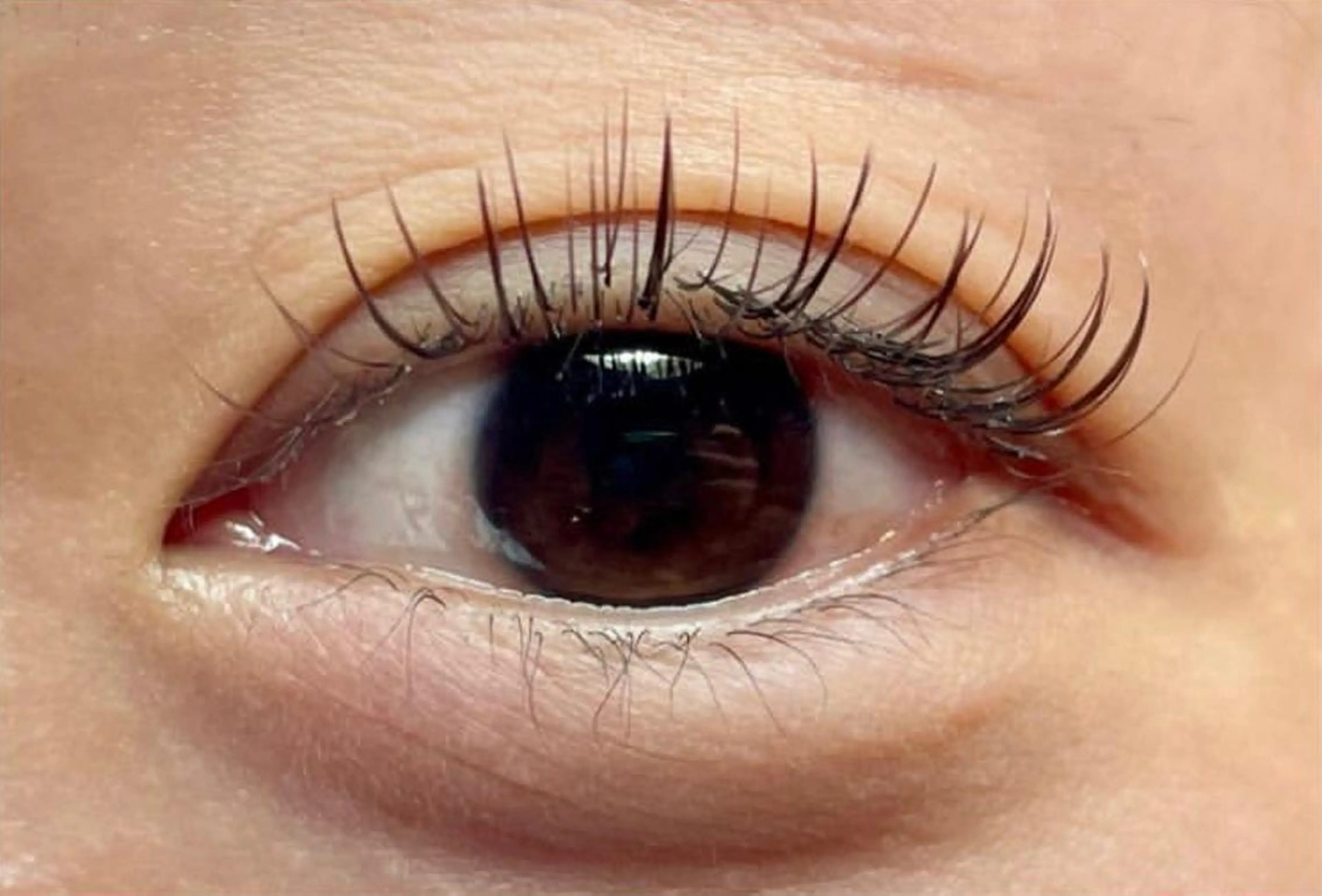 マツエク・マツパ Cカール カラーマツエク マツエク Vellezza🦋 Kasumiのマツエク・マツパデザイン