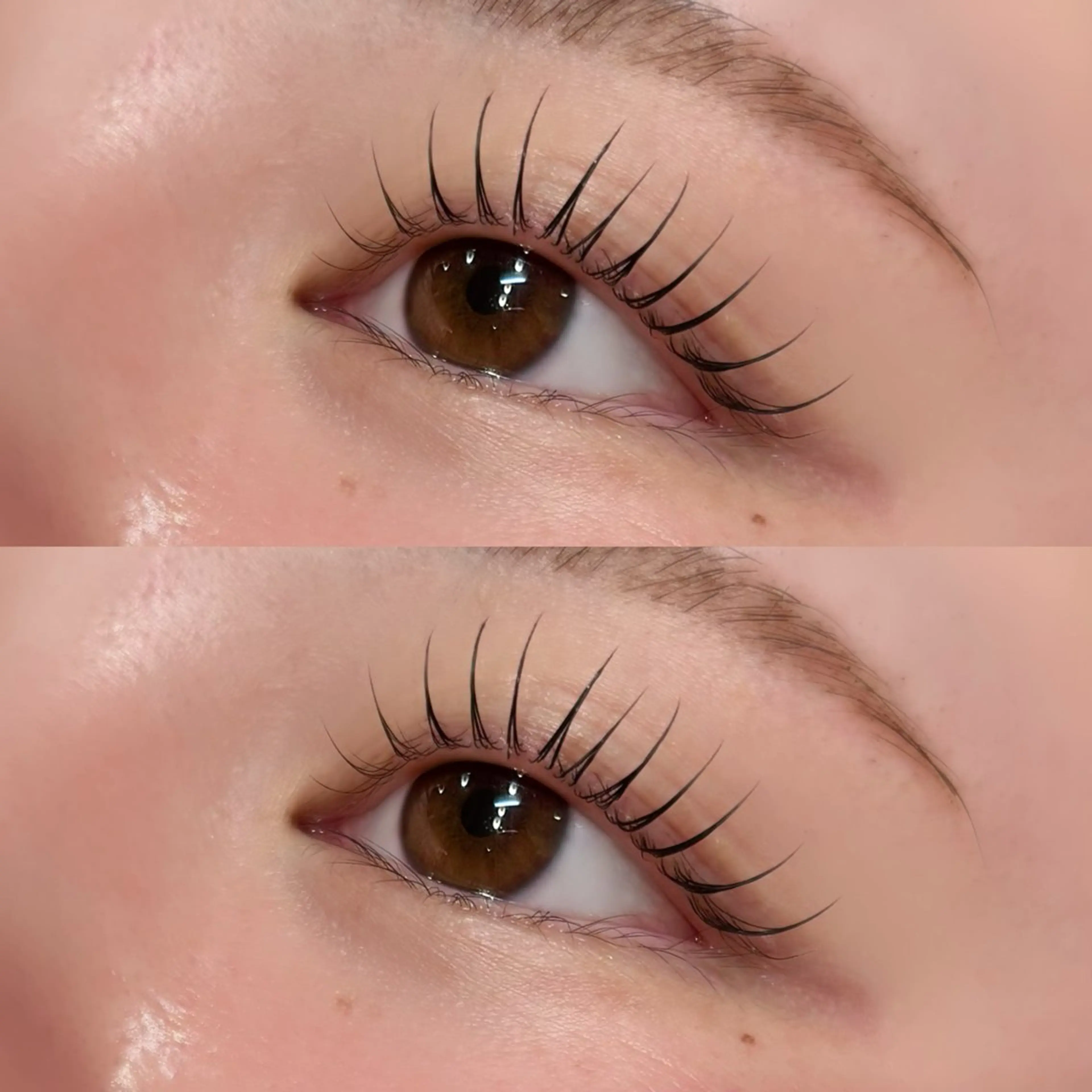 🌟ご新規様限定🌟似合わせまつ毛パーマ🎶の写真