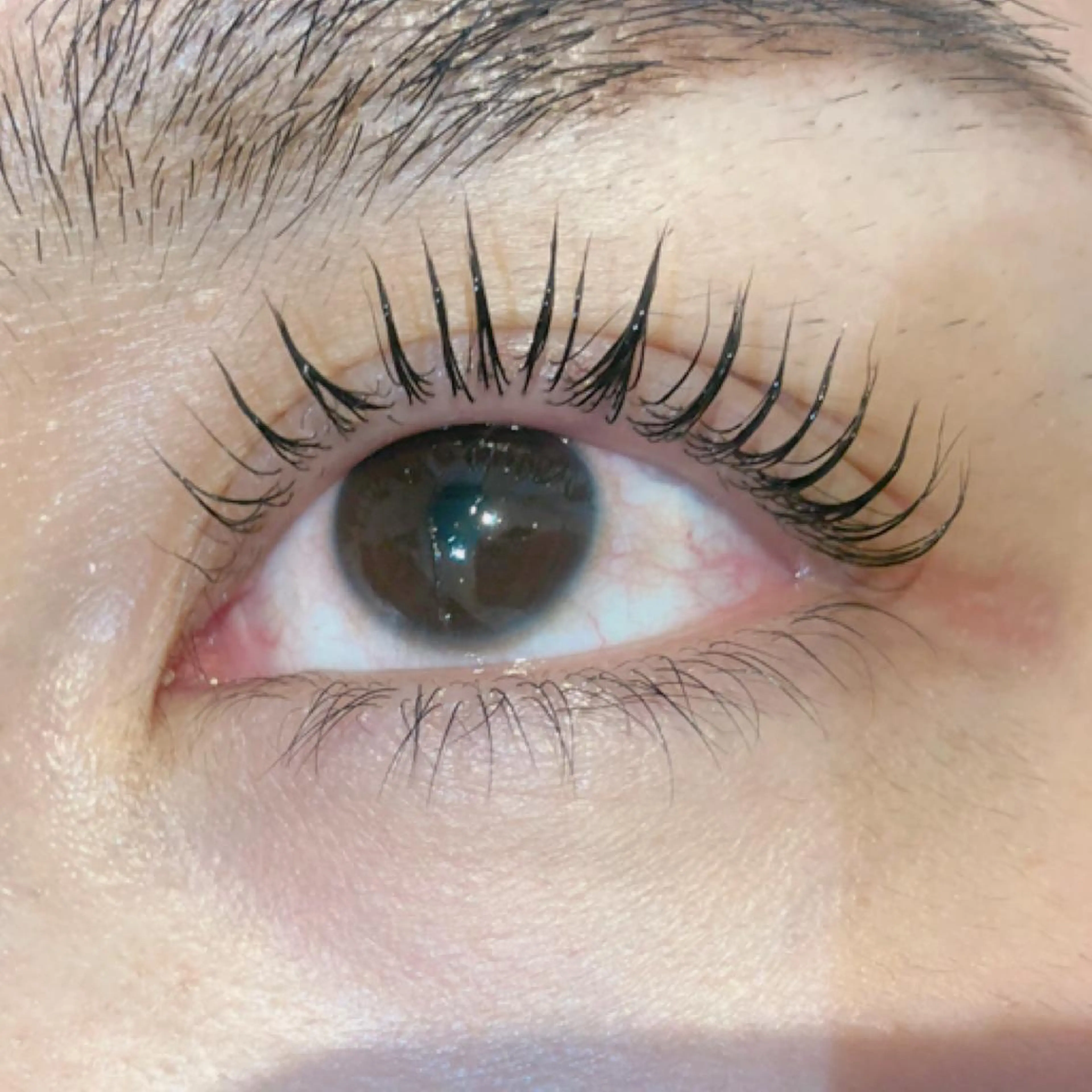 マツエク・マツパ eyelist マツエク🐣のマツエク・マツパデザイン