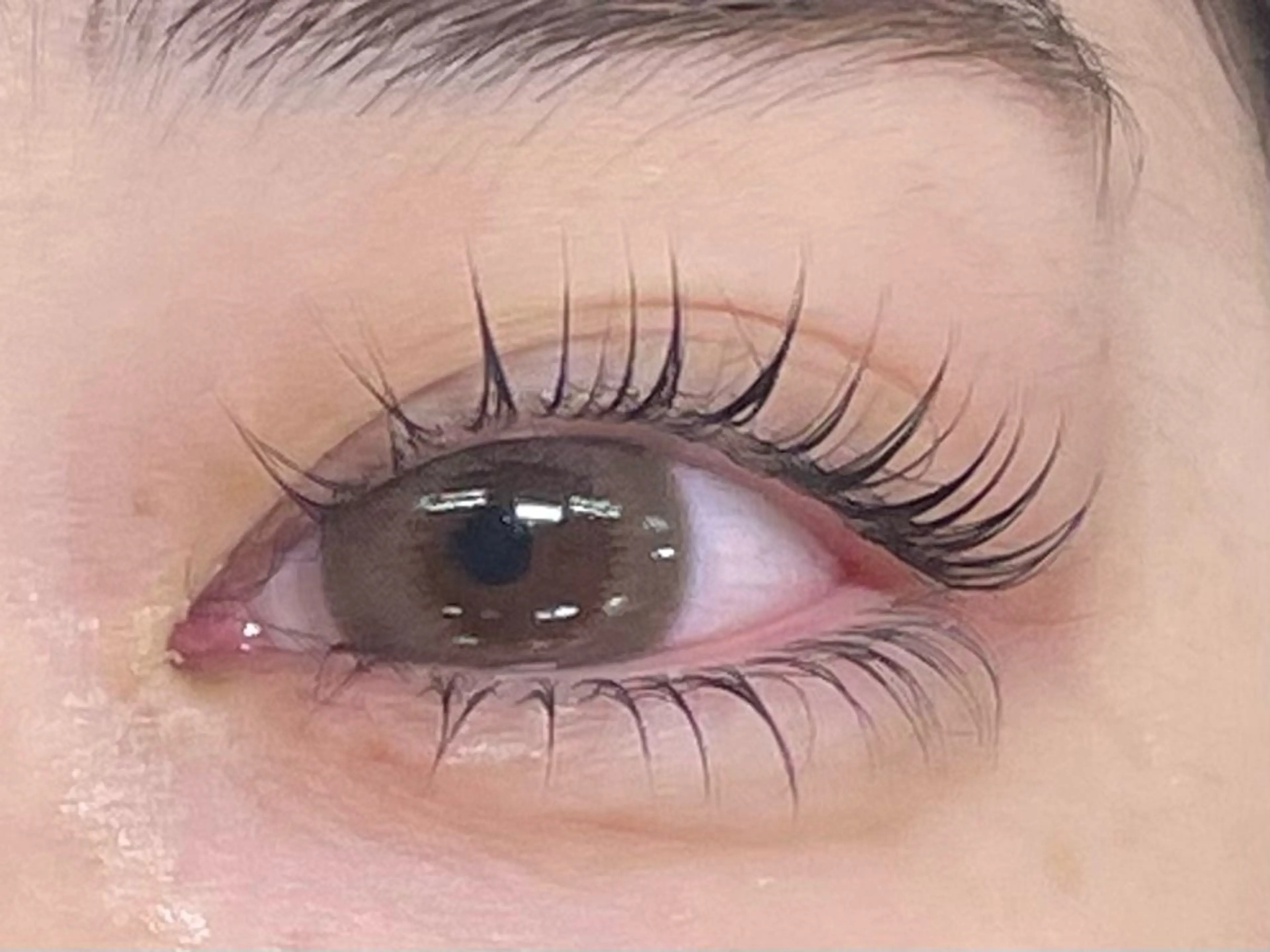 【🍨 "上下"まつ毛パーマ 🍨】ラッシュリフトorパリジェンヌの写真