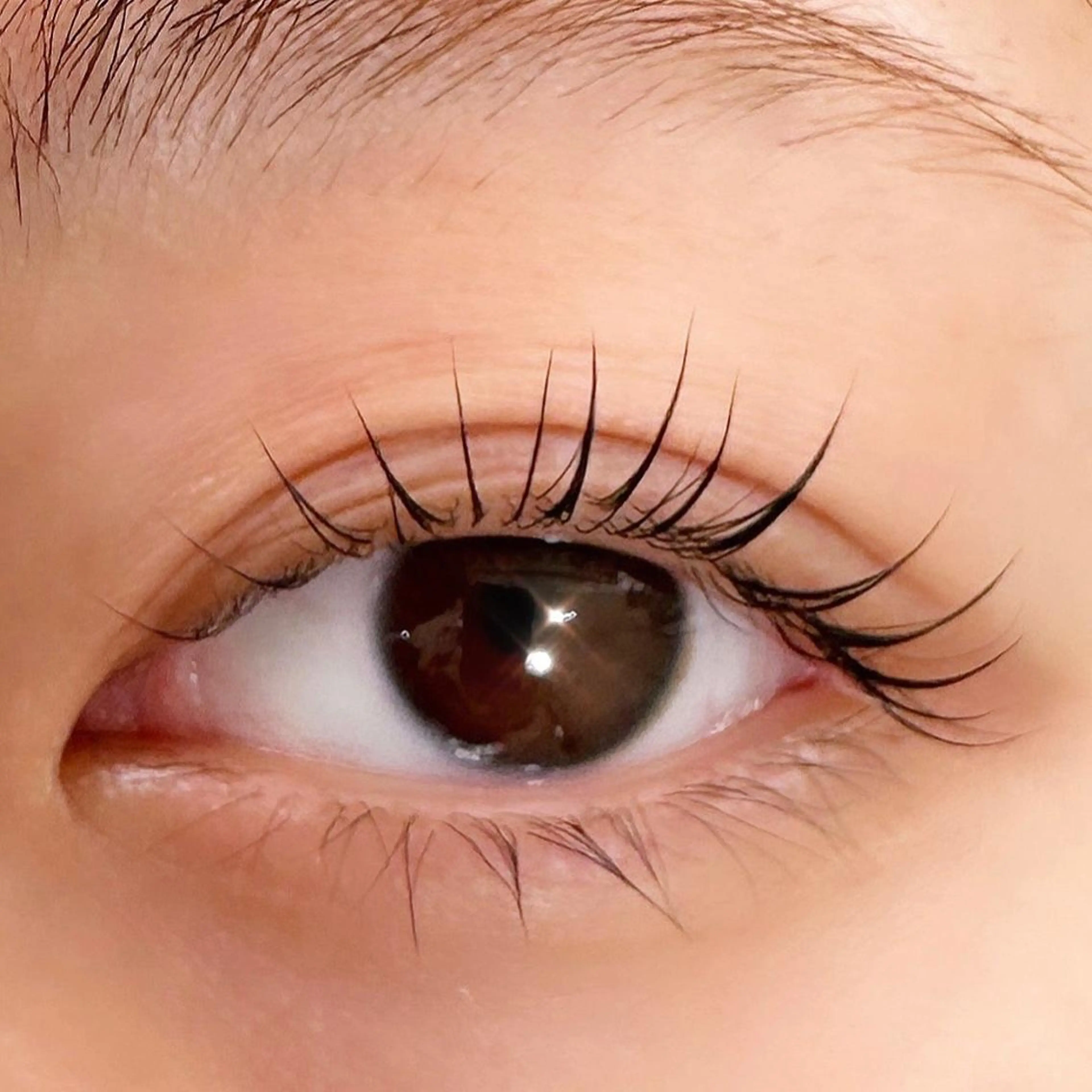 マツエク・マツパ マツパ 川畑🌻 アンジェリカ錦糸町のマツエク・マツパデザイン