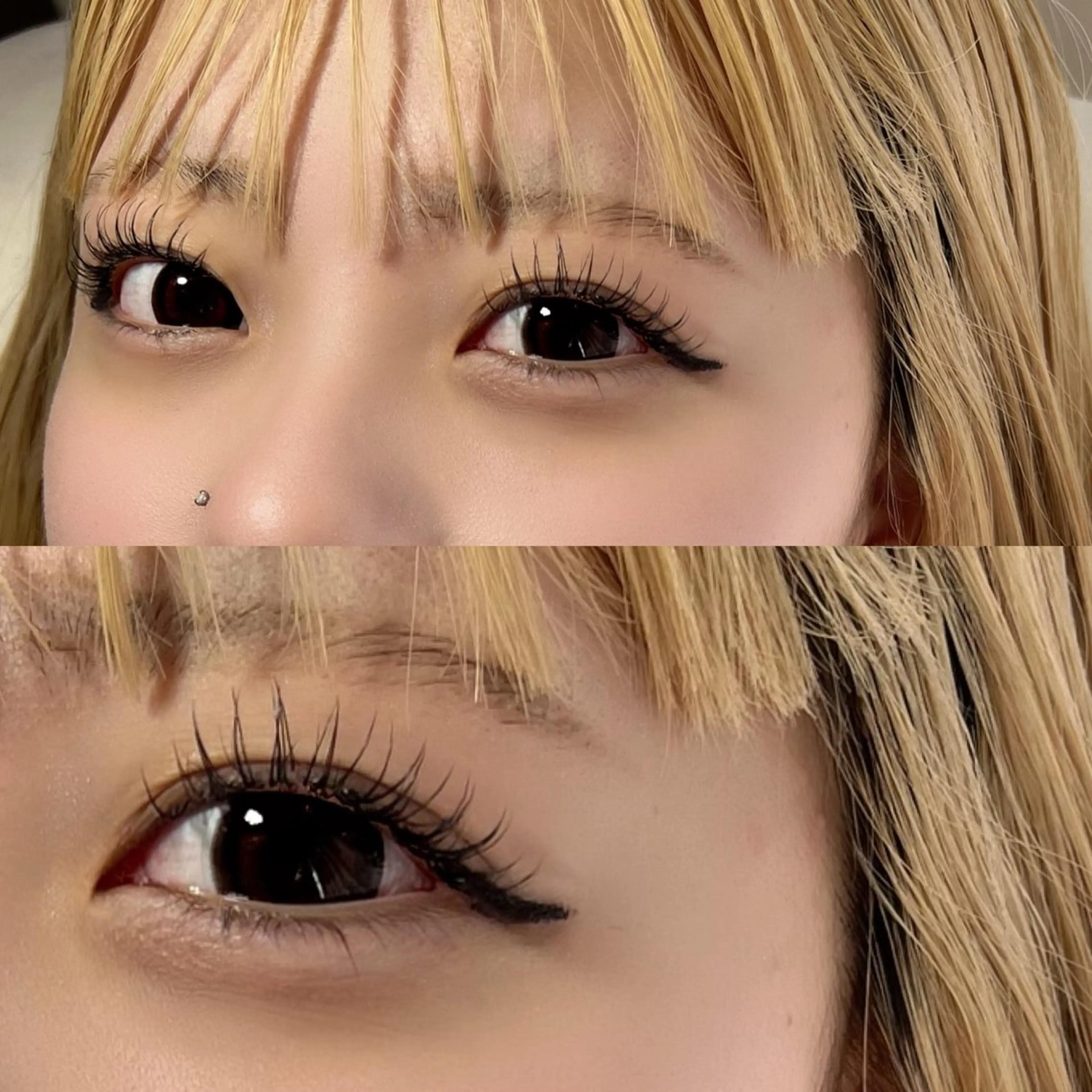 ダブルフラットラッシュ60束の写真