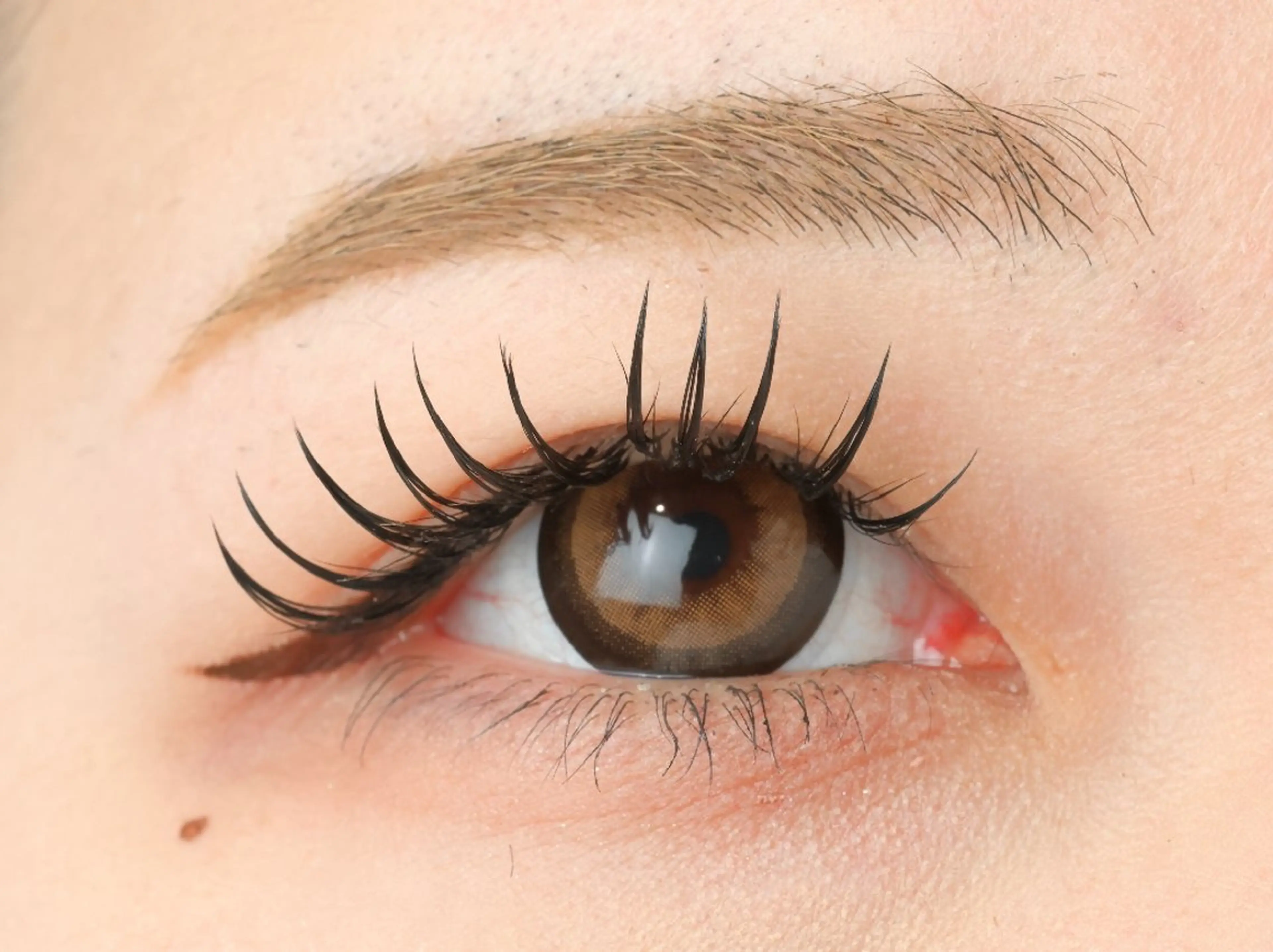 【ミニモ限定価格！口コミ投稿必須】ダブルフラットラッシュ 100束の写真