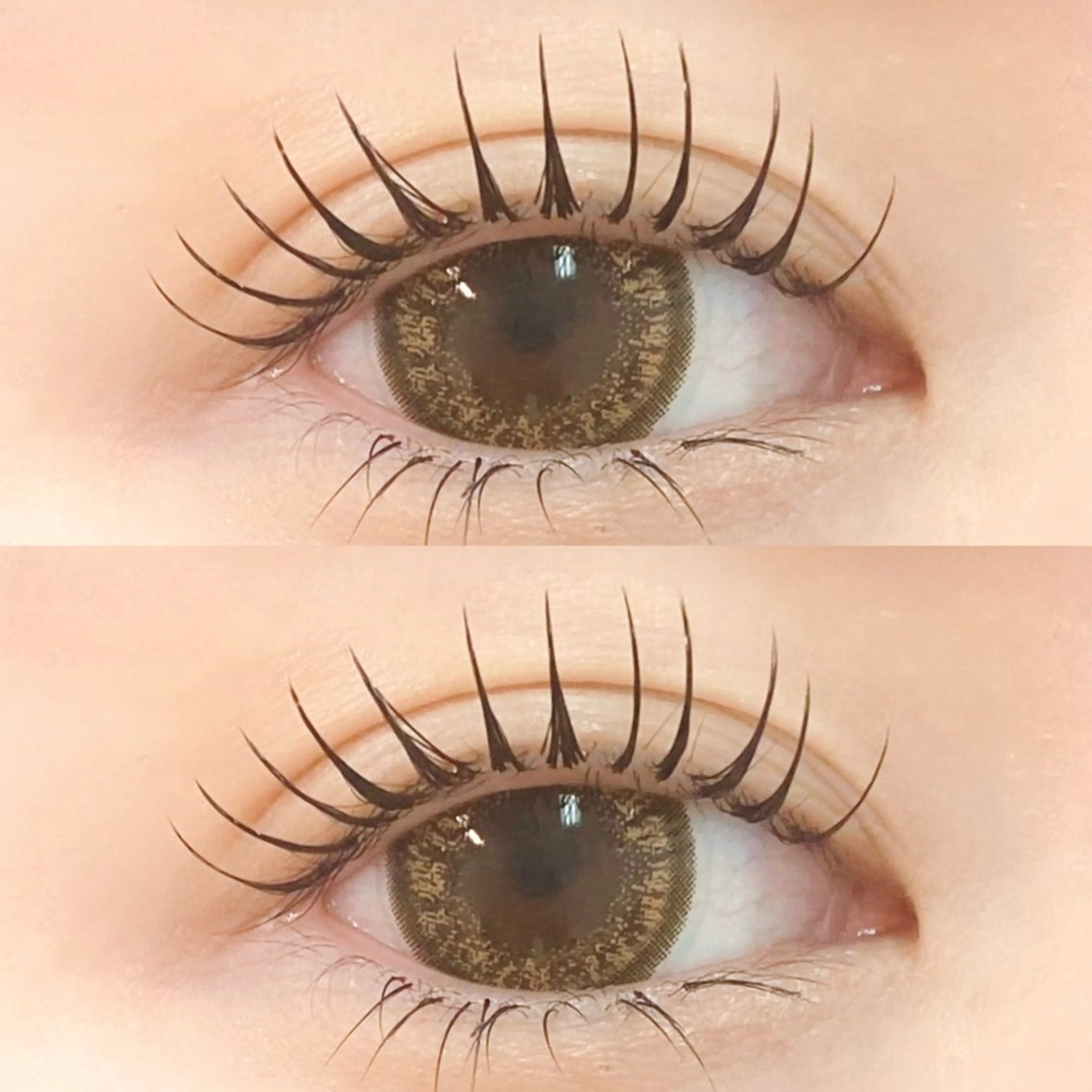 🦋【&Healthyアンドヘルシー】🦋フラットラッシュ120本+まつ毛カール　横浜関内の写真