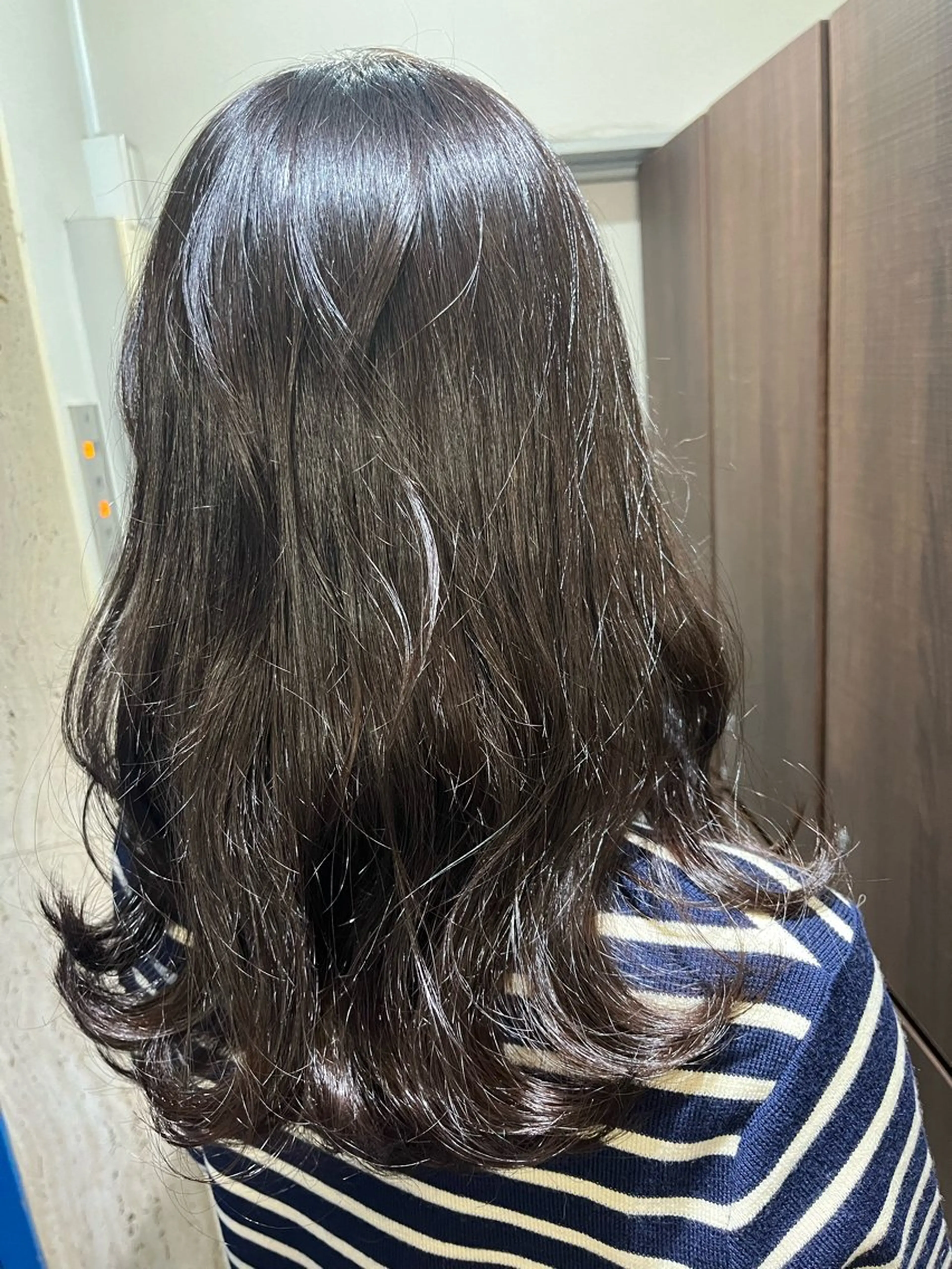 セミロング カラー 🐈‍⬛多系統🕶 tsubura🖤のヘアスタイル