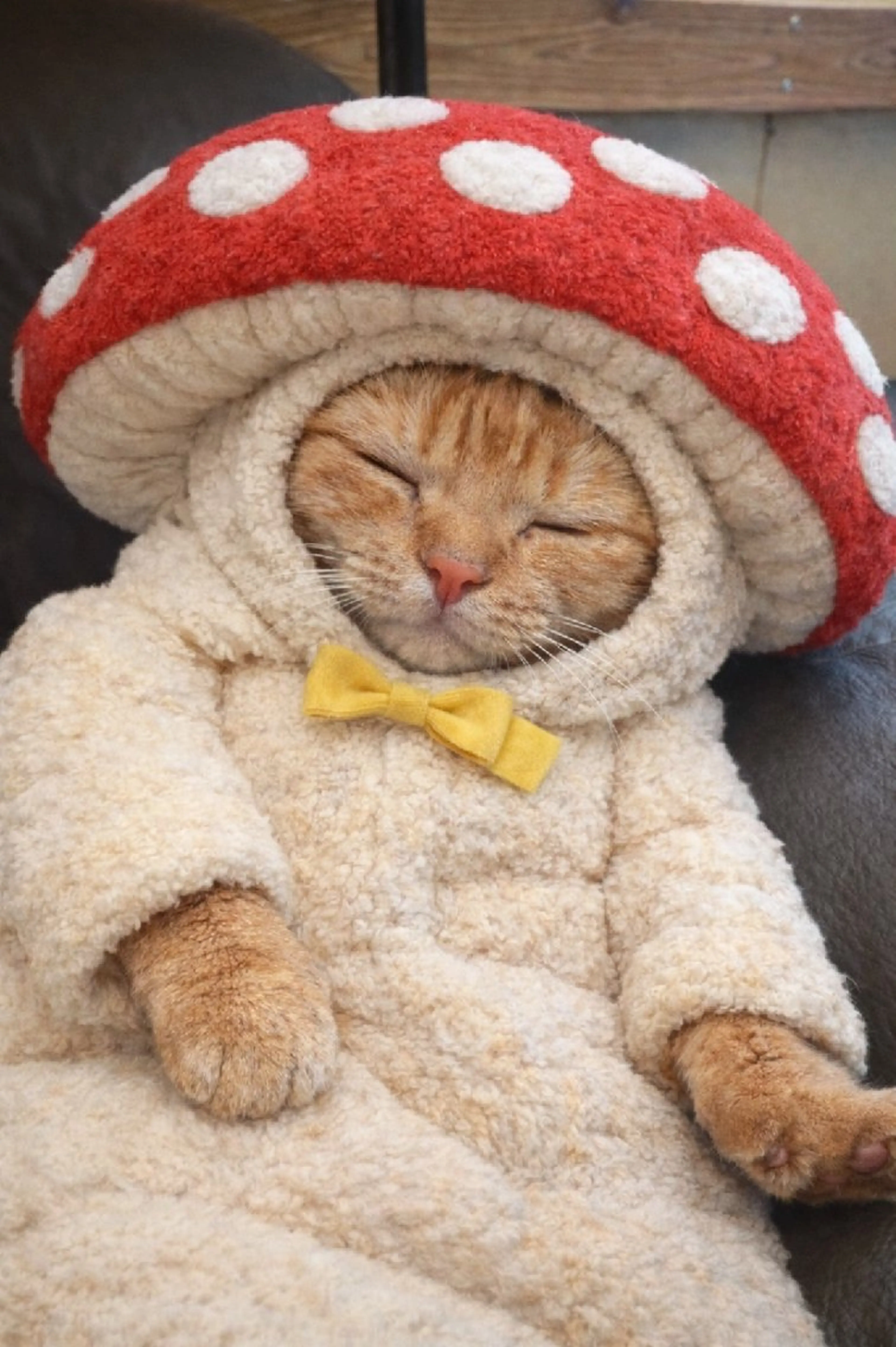 ミディアム ヘアカラー ステアケース所属・小副川 Maayaのヘアスタイル