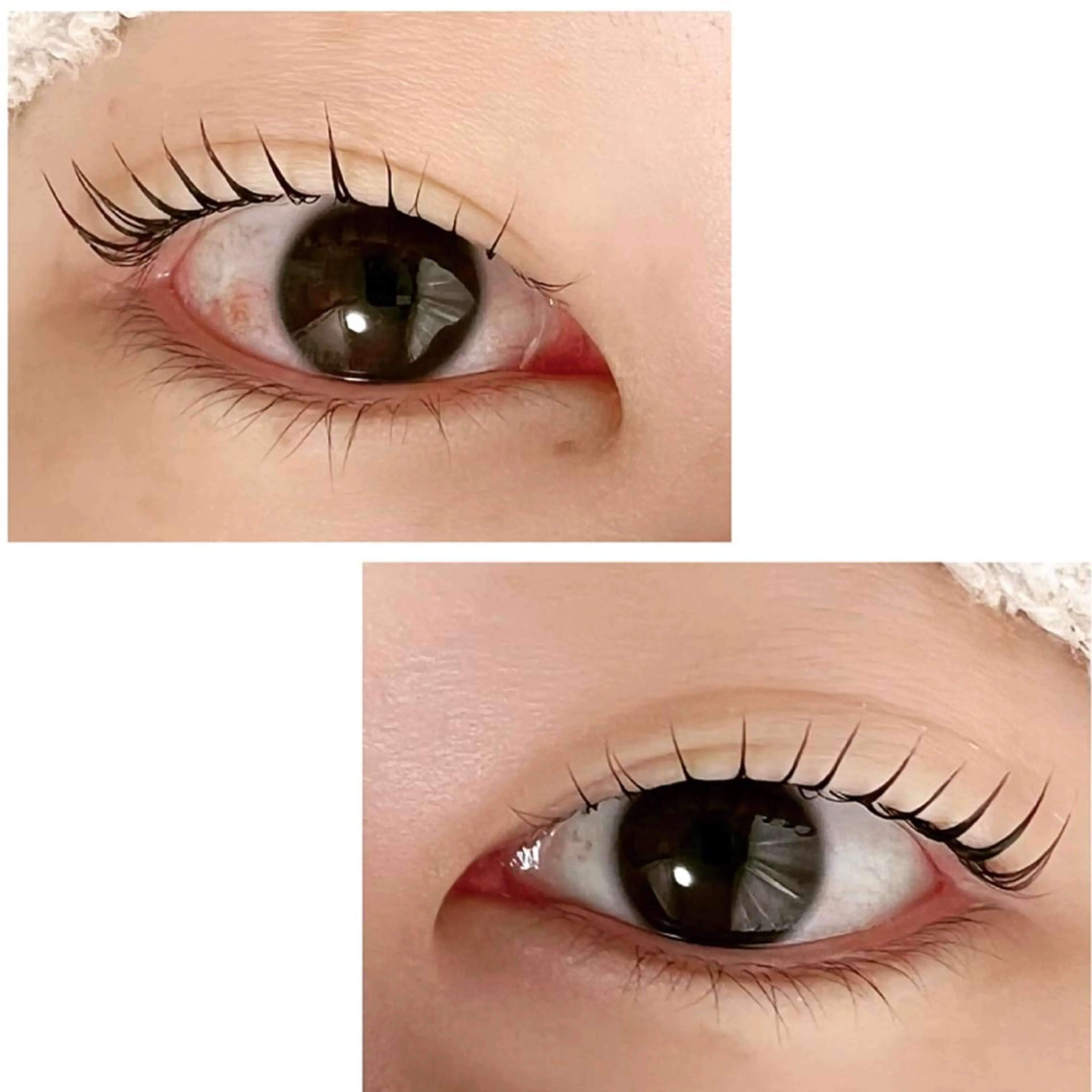 マツエク・マツパ Adorer(アドレ)所属・Adorer 🍀アドレ🍀のマツエク・マツパデザイン