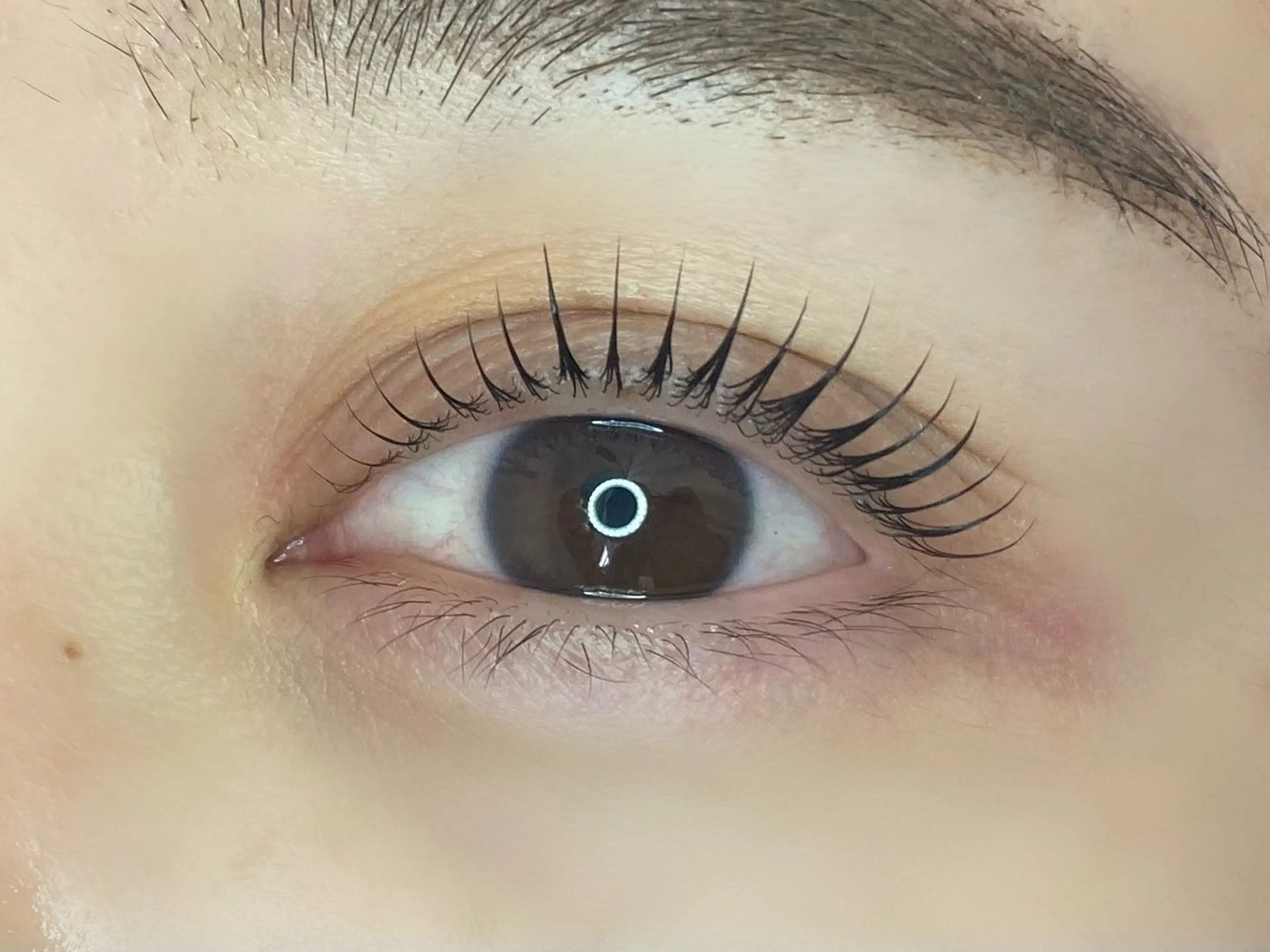 🏫【学割】上まつげパーマ🏫高保湿・美容液トリートメント仕上げ🏫の写真