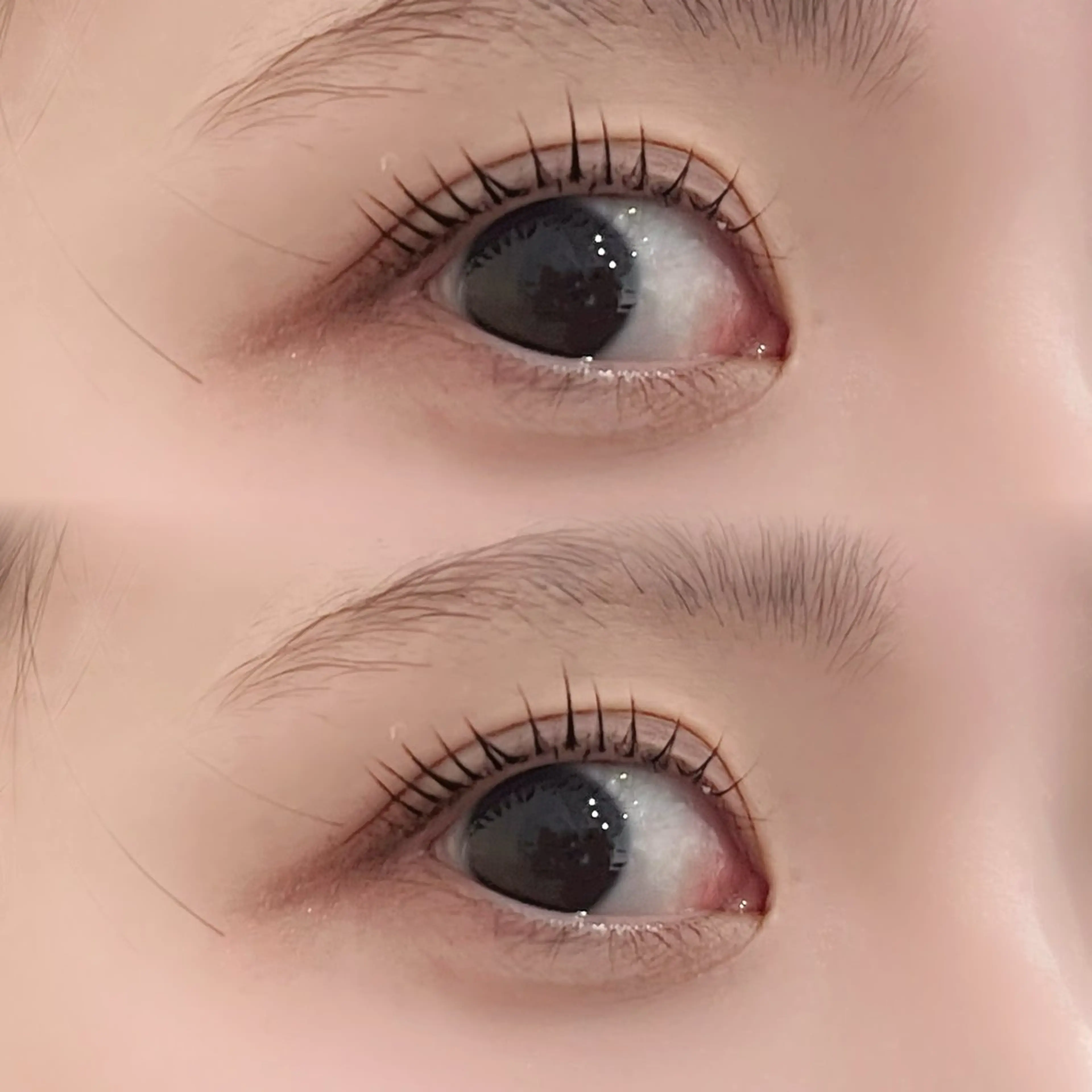 マツエク・マツパ Choco Lash ユメのマツエク・マツパデザイン