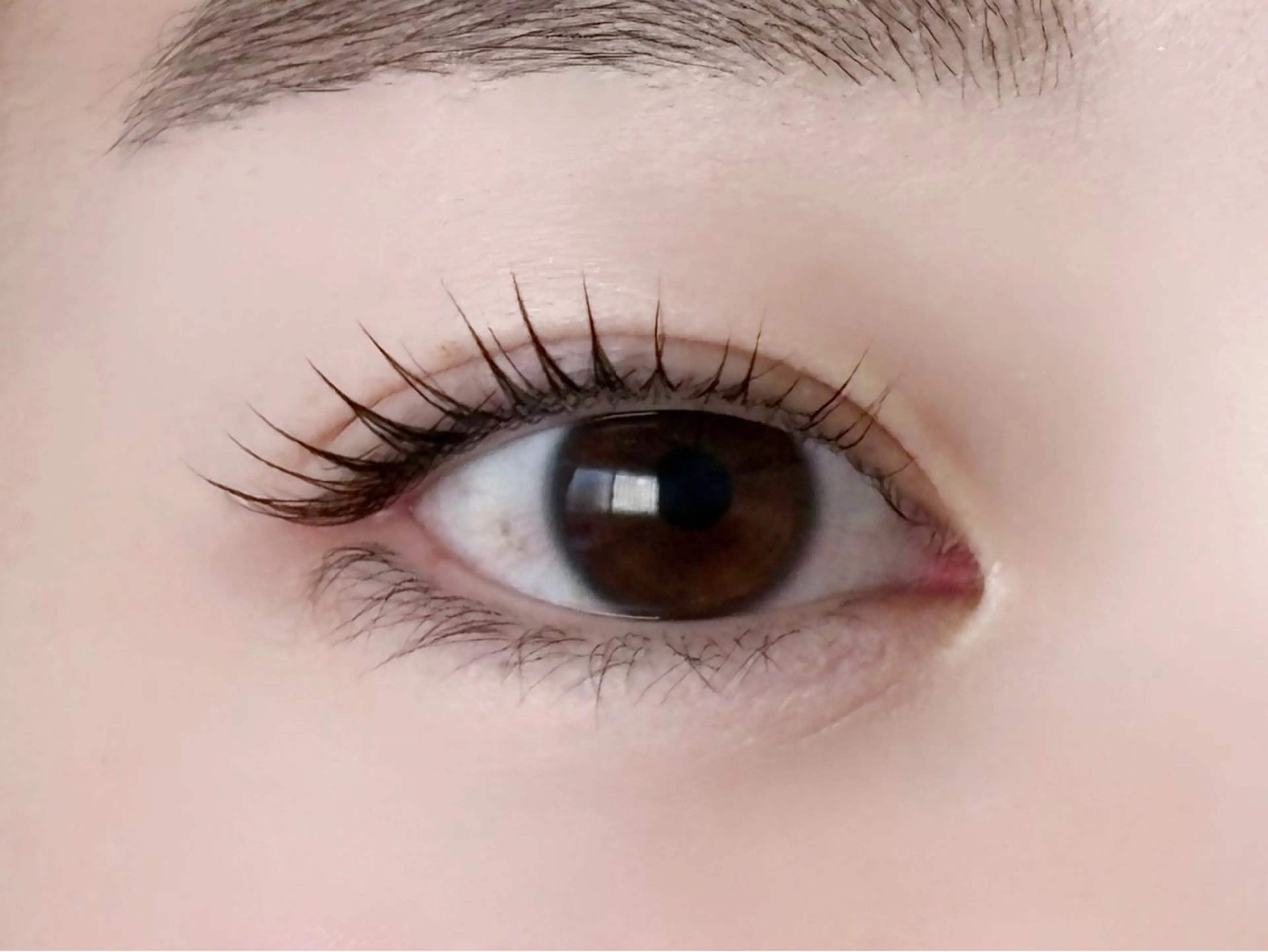 🌼《リピーター様限定》ラッシュリフト💫アイシャンプー、トリートメント付き⭐️ 11:15​〜​予約リクエスト承り中です♪の写真