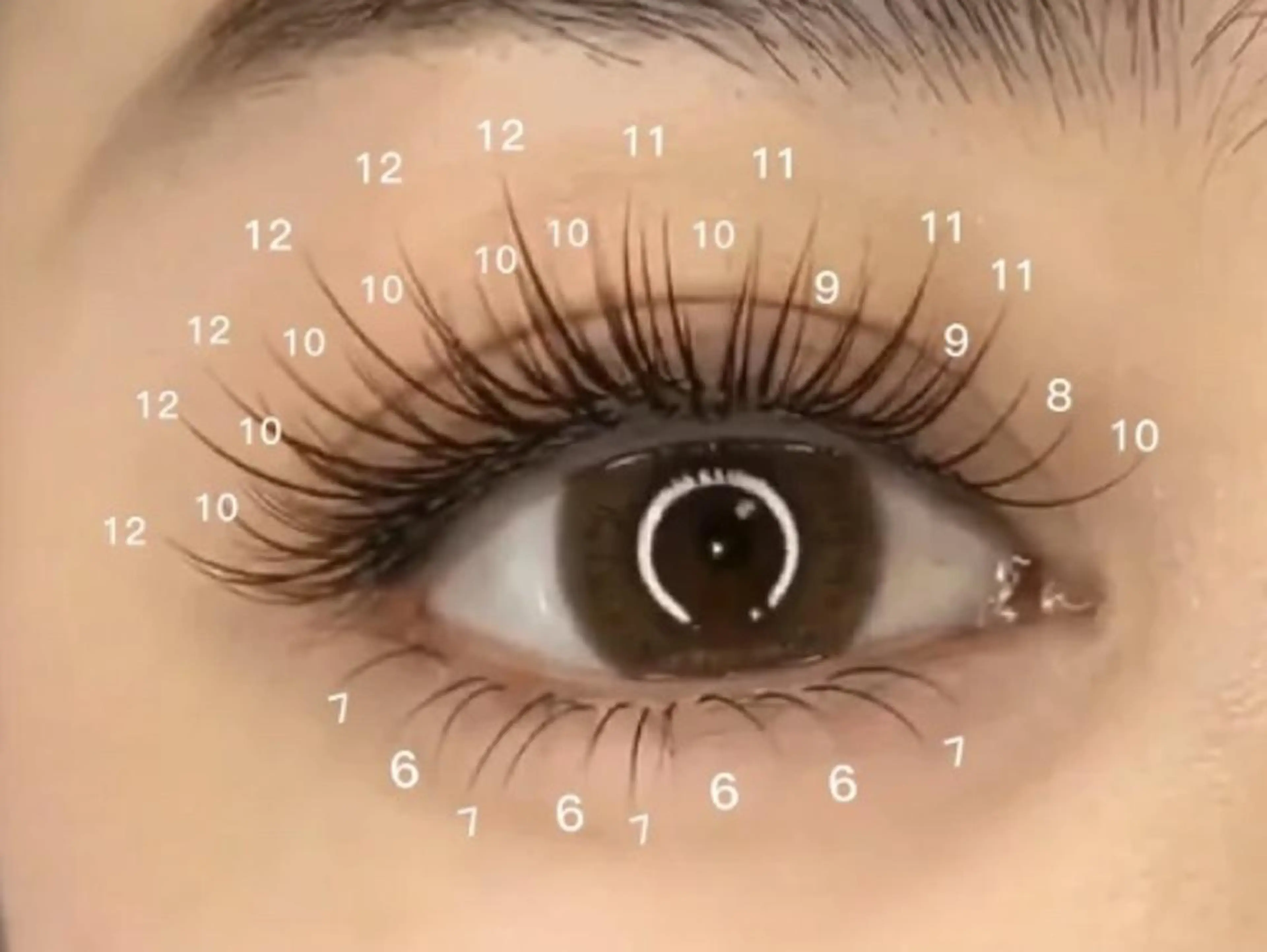 マツエク・マツパ Cute B e au t yのマツエク・マツパデザイン